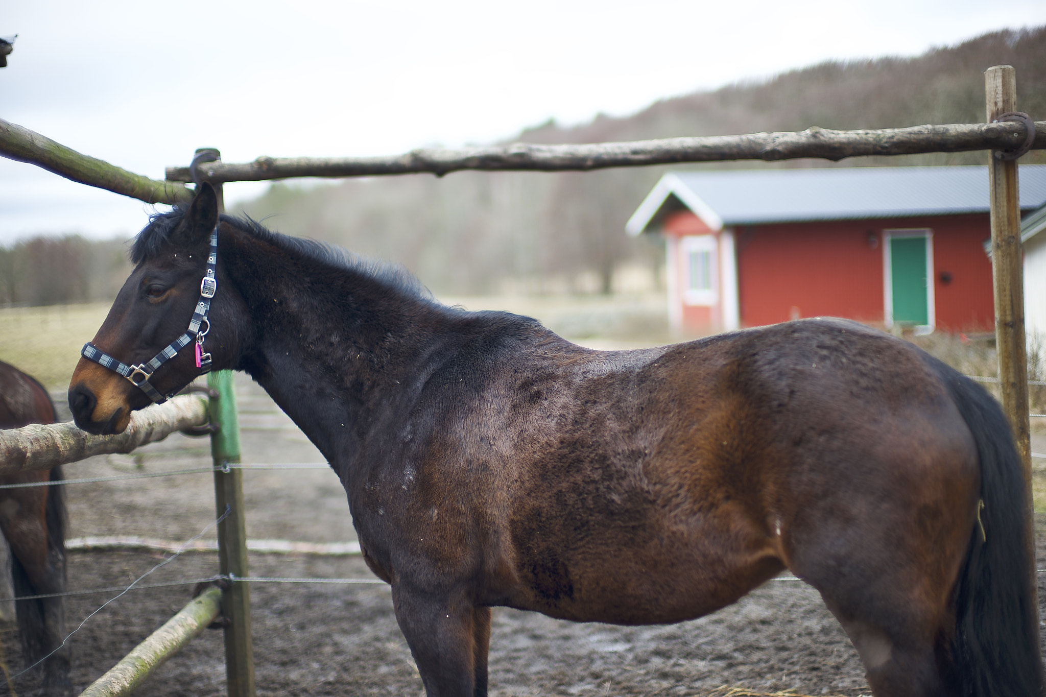 Leica Noctilux-M 50mm F0.95 ASPH sample photo. No longer stranger photography