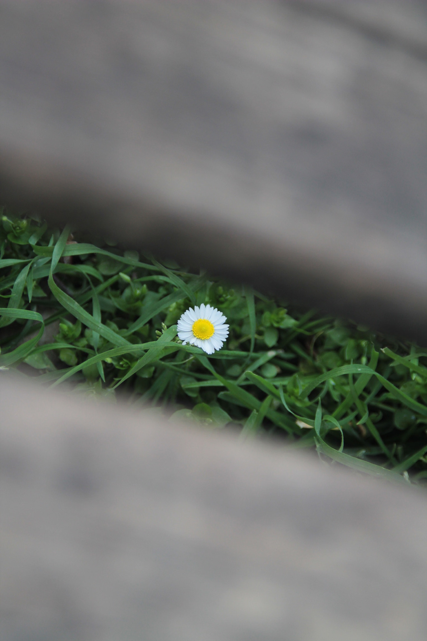 Canon EF 35-80mm f/4-5.6 sample photo. Spring photography
