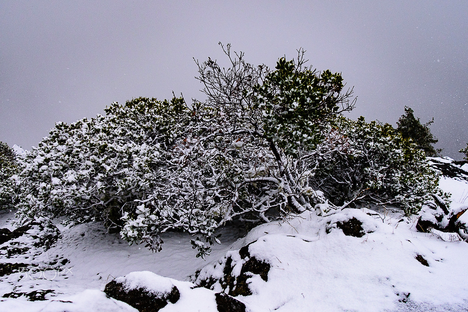 Nikon D7200 sample photo. Eagle's rest photography