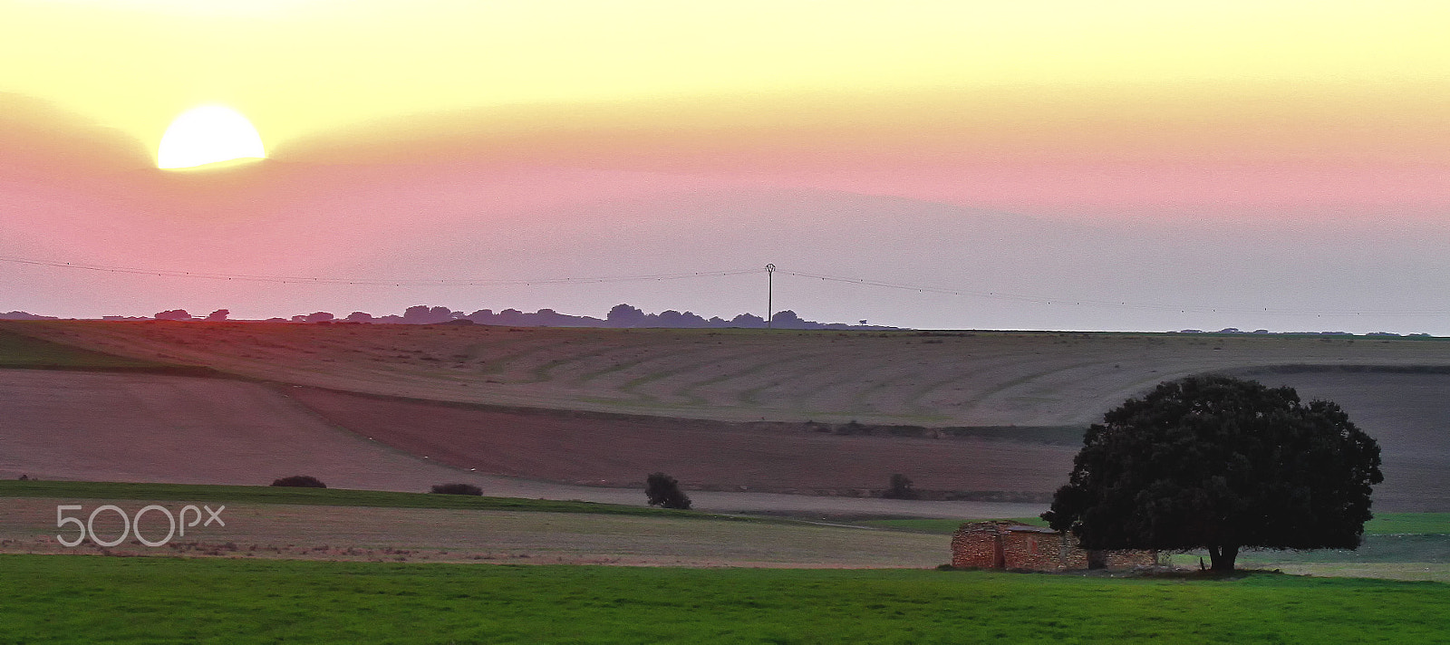 Sigma 150-600mm F5-6.3 DG OS HSM | C sample photo. The sunset photography
