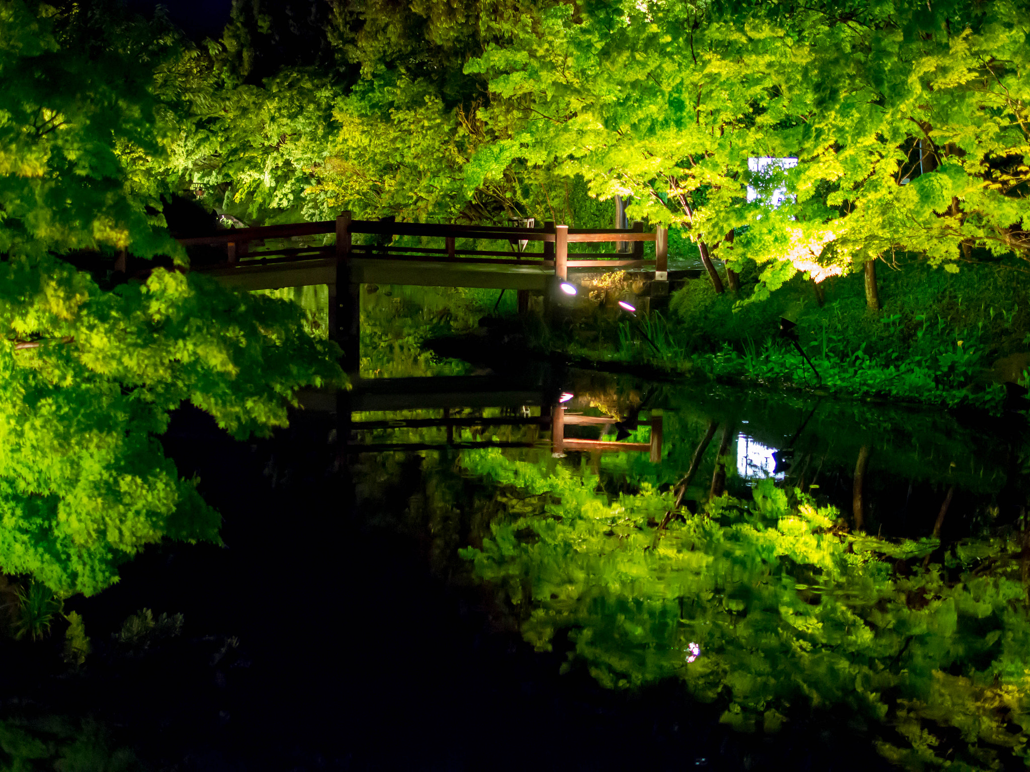 Panasonic Leica DG Summilux 25mm F1.4 II ASPH sample photo. Nagashima report photography