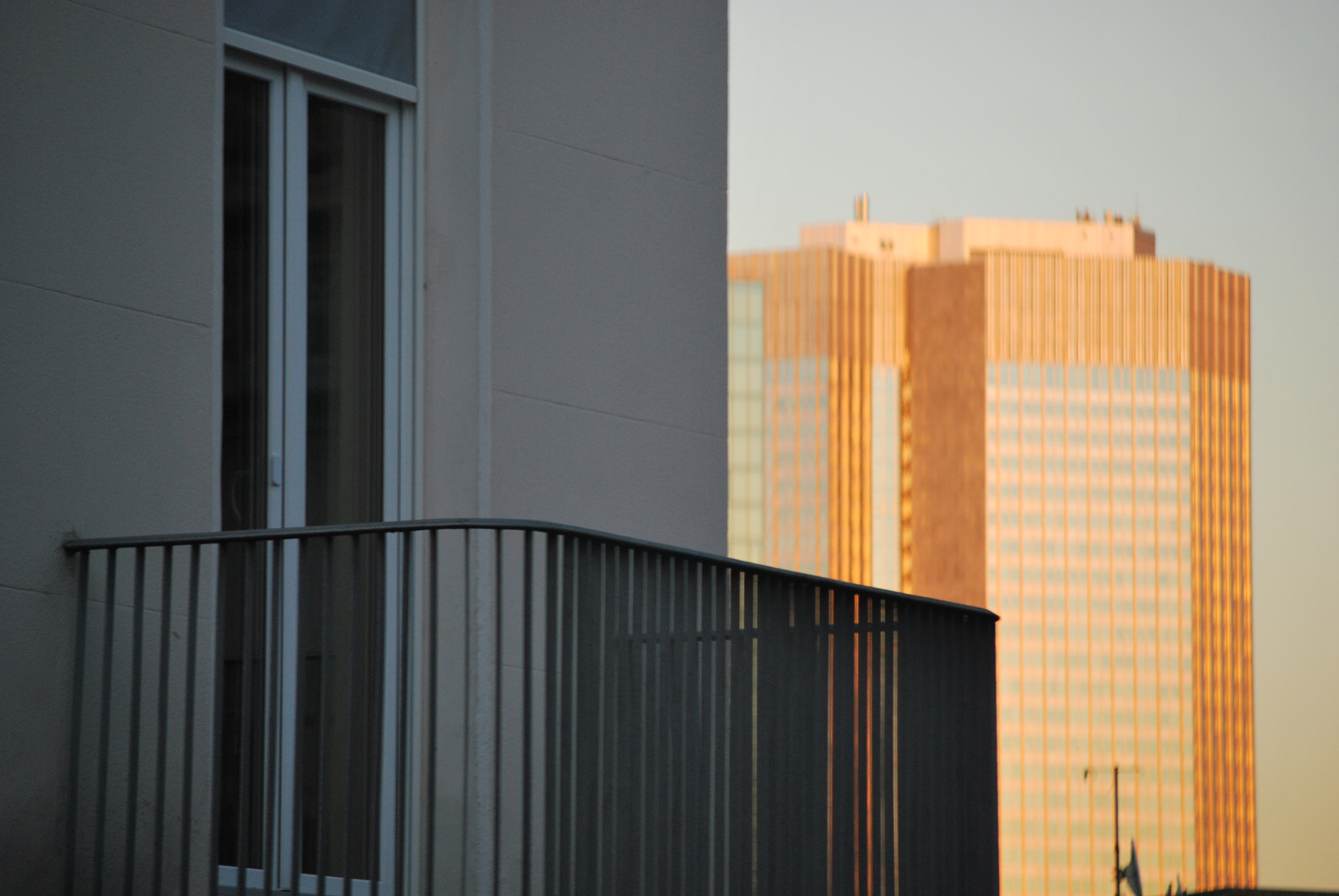 Nikon D60 sample photo. Wherefore art thou juliet? photography