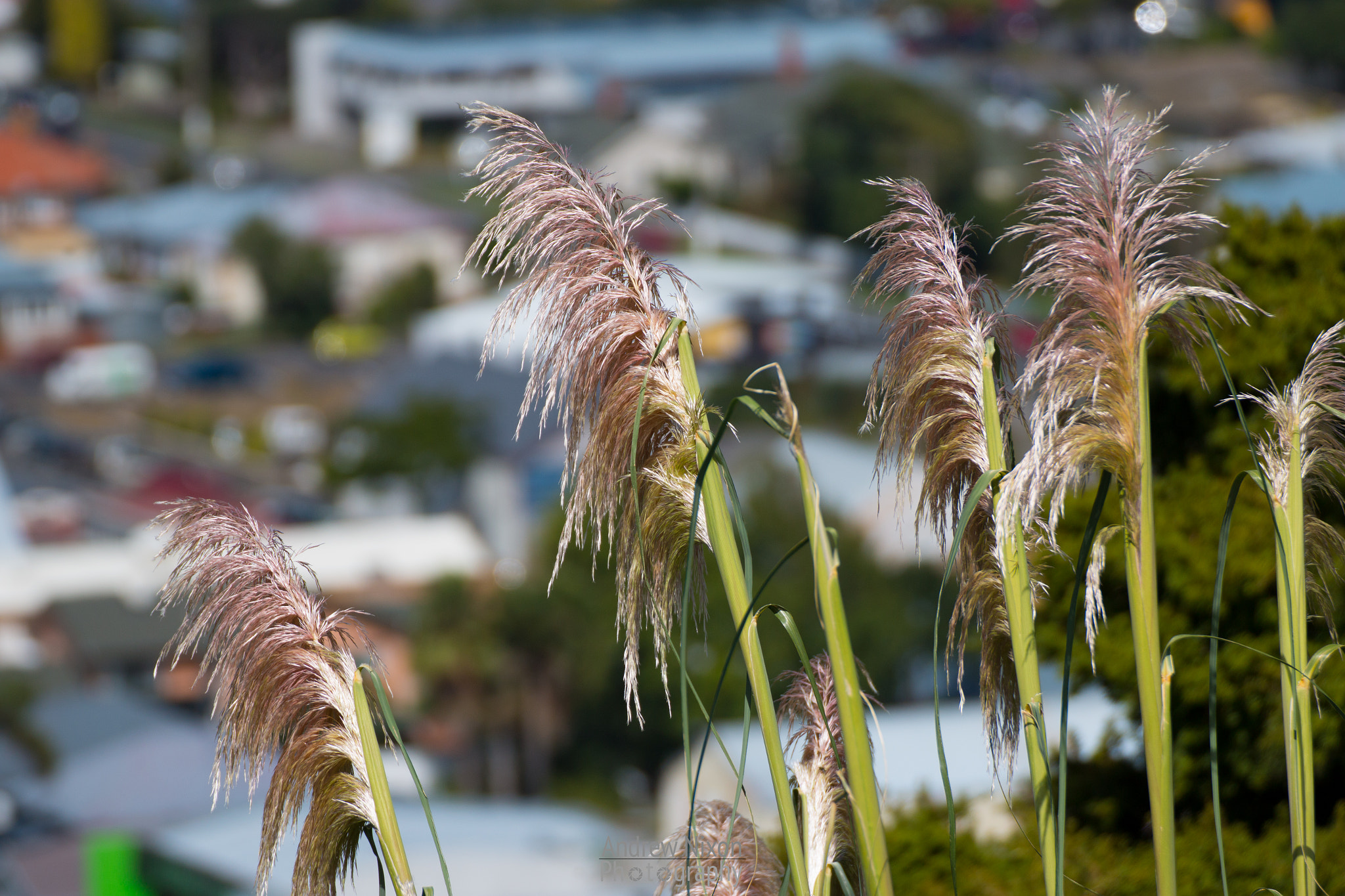 Canon EOS 70D sample photo. Thames sunshine photography