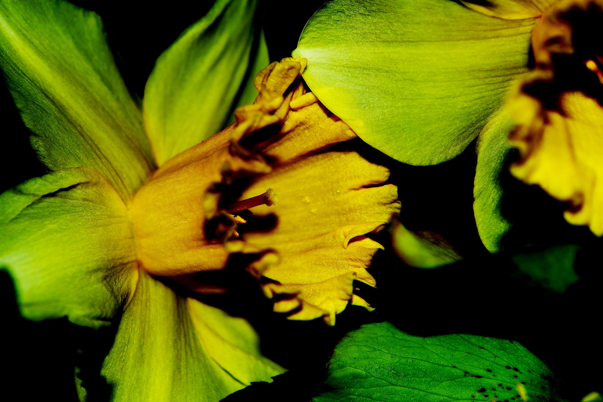 Canon EF 24-70mm F2.8L USM sample photo. Innenleben photography