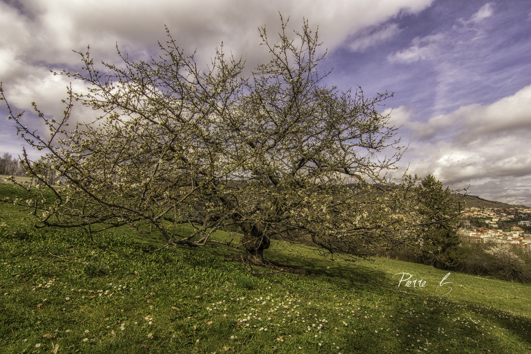 Canon EOS 550D (EOS Rebel T2i / EOS Kiss X4) sample photo. The spring #2 photography