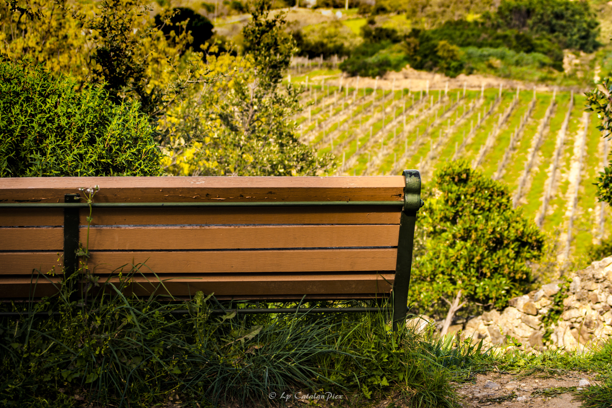 Nikon D7200 sample photo. Printemp photography