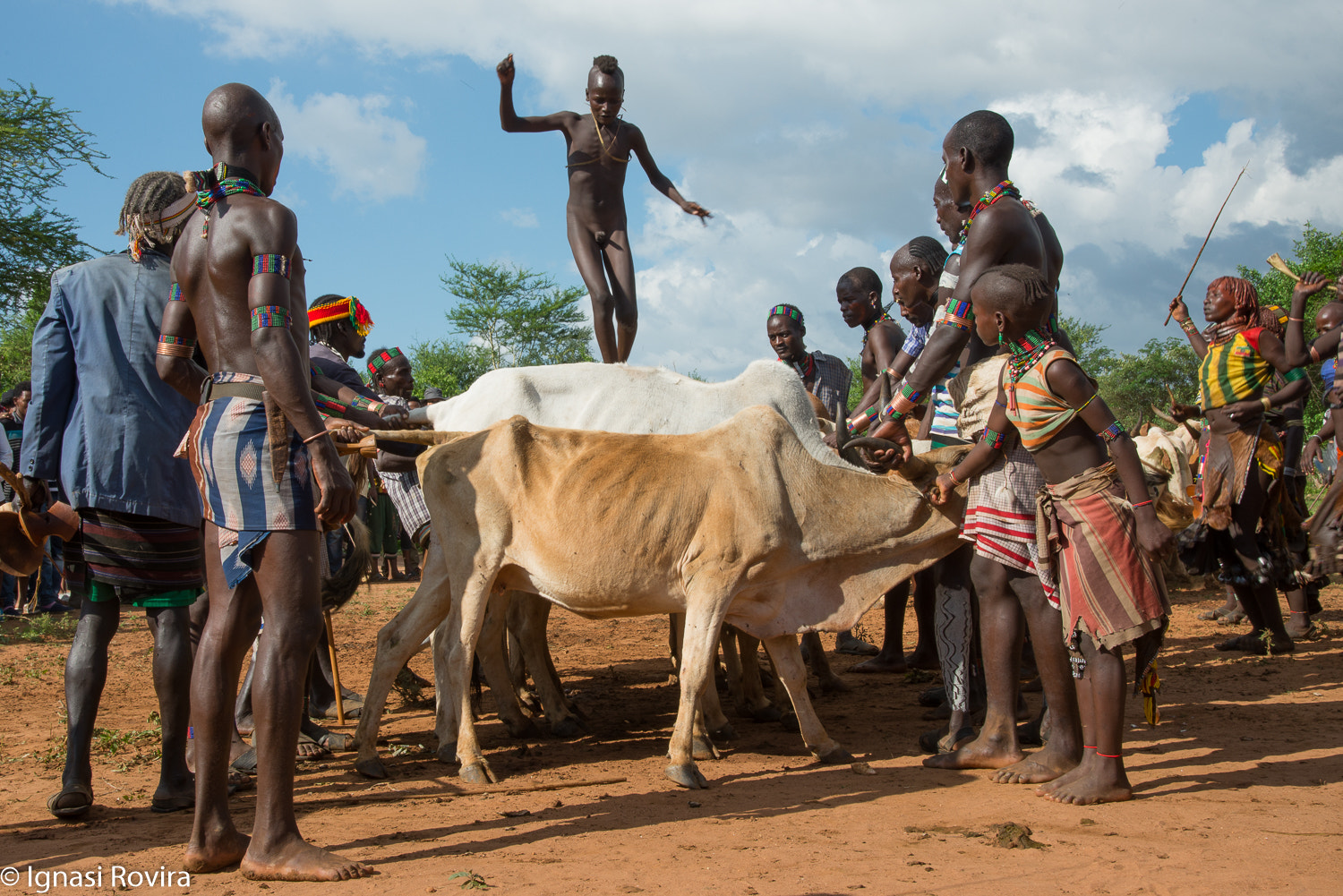 Nikon D600 sample photo. Hamar (ethnic gr.) "jumping of the bull". ethiopia photography