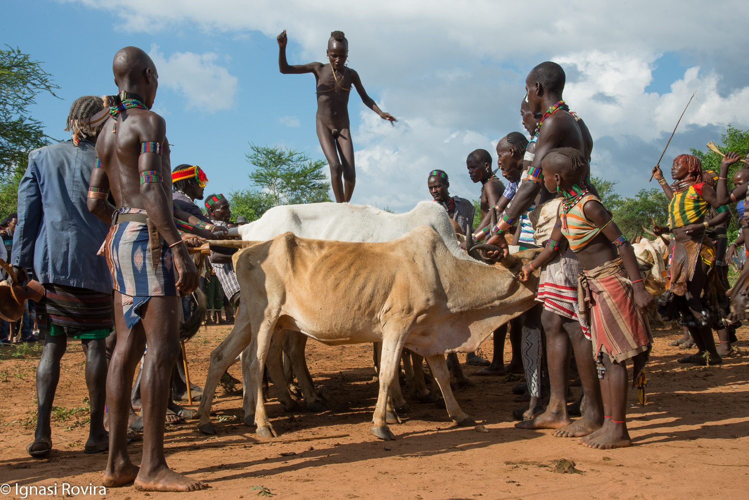 Nikon AF-S Nikkor 24-120mm F4G ED VR sample photo. Hamar (ethnic gr.) "jumping of the bull". ethiopia photography