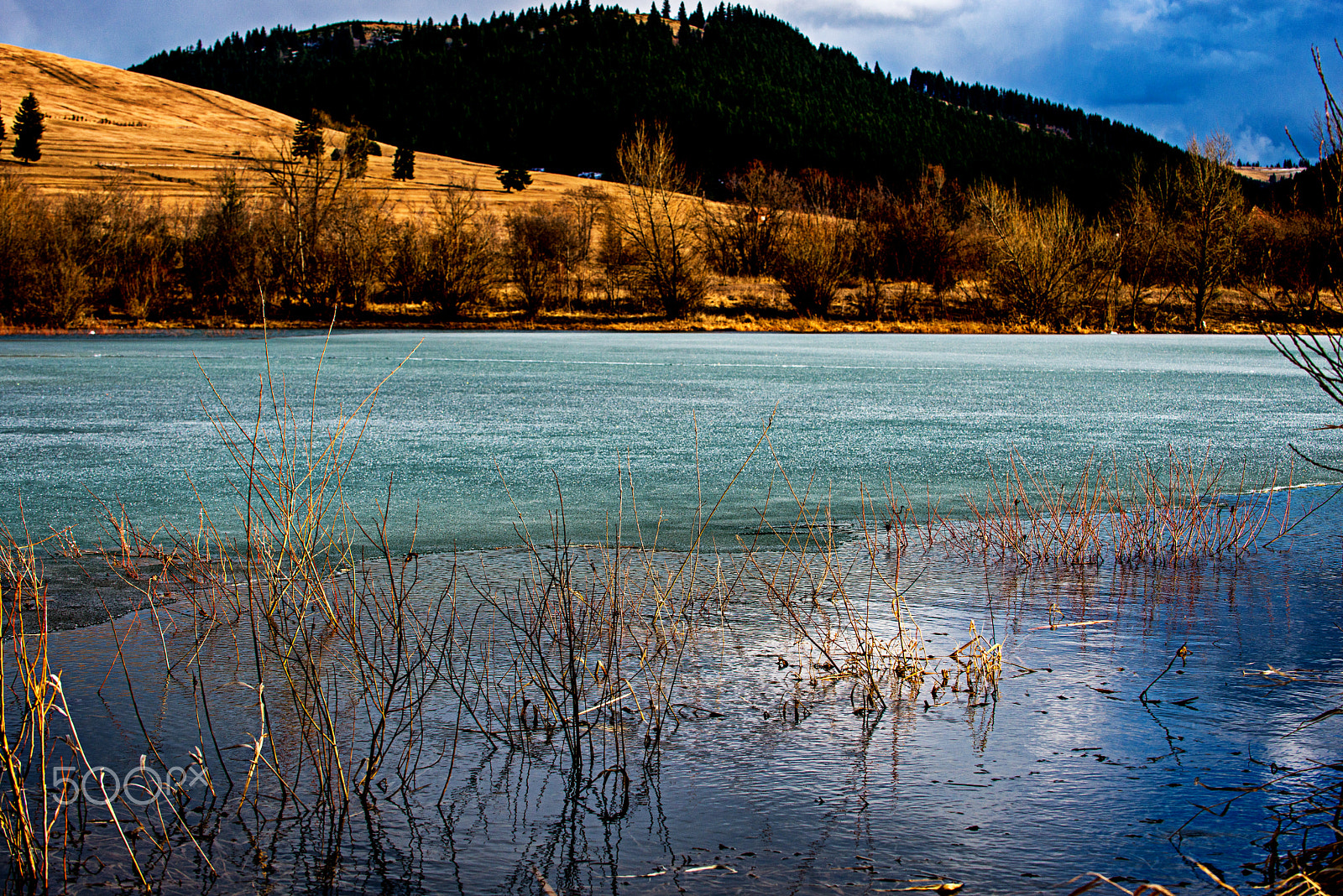 Nikon D800 sample photo. Land ice and water photography