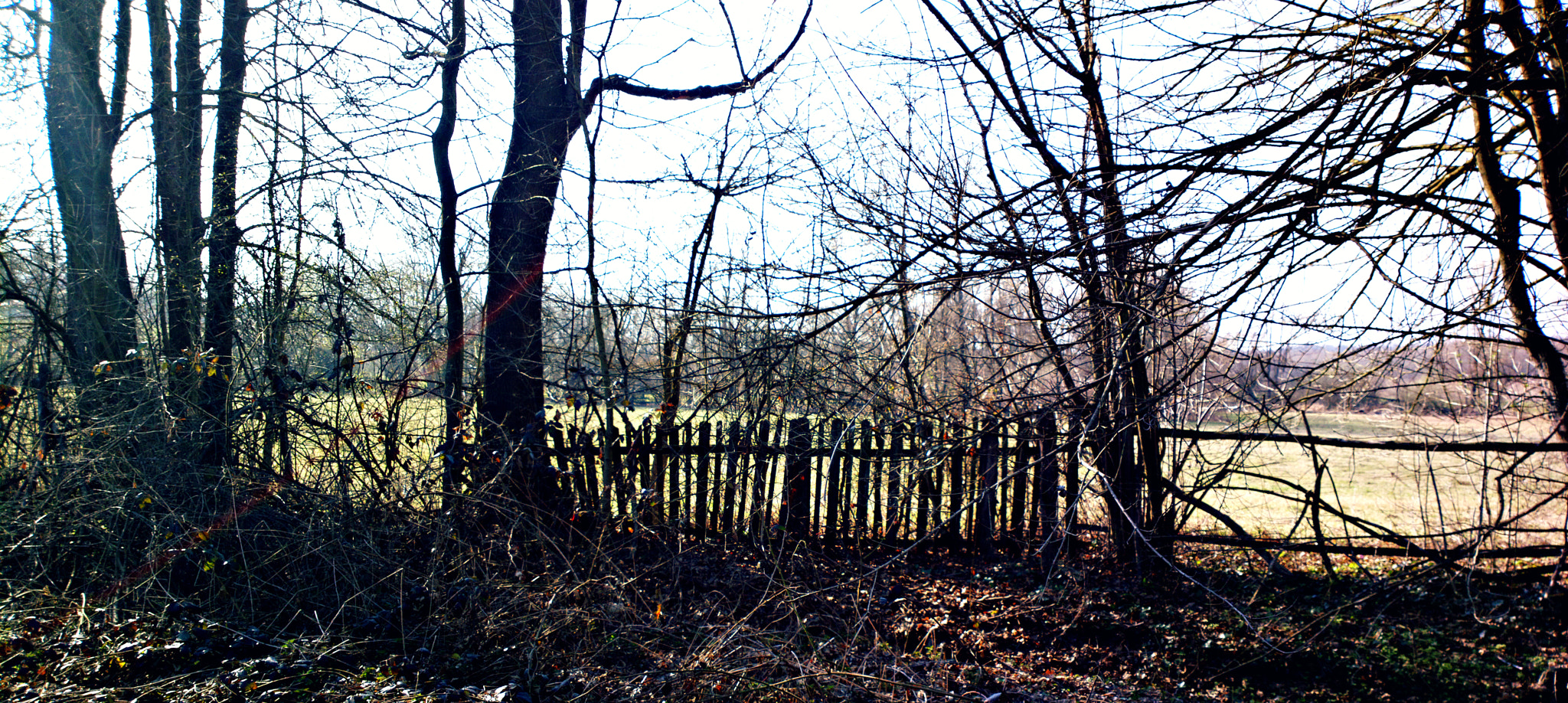 Nokia 808 PureView sample photo. Confine fence photography