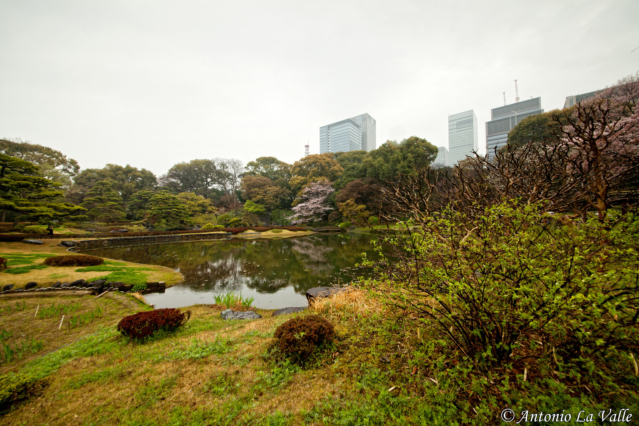 Canon EOS 5D Mark II + Sigma 12-24mm F4.5-5.6 II DG HSM sample photo. Giardino palazzo imperiale photography