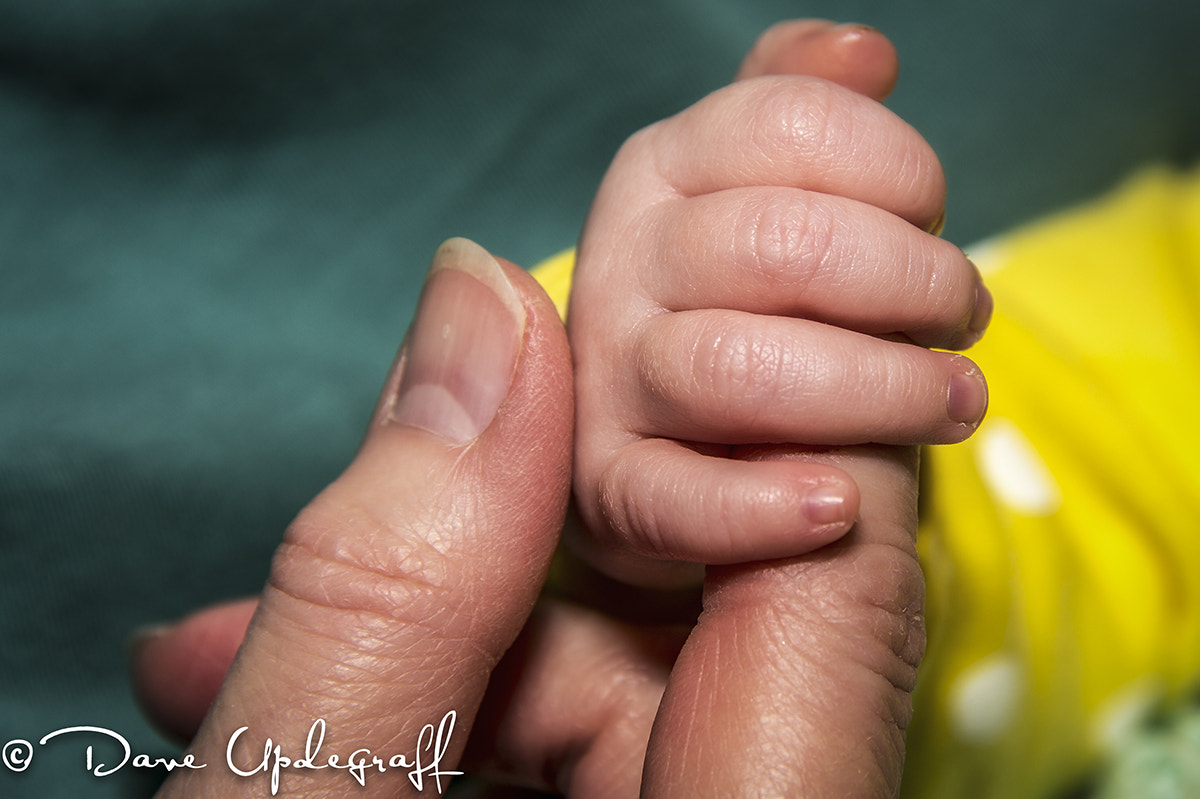 Nikon D4 sample photo. Baby's touch photography