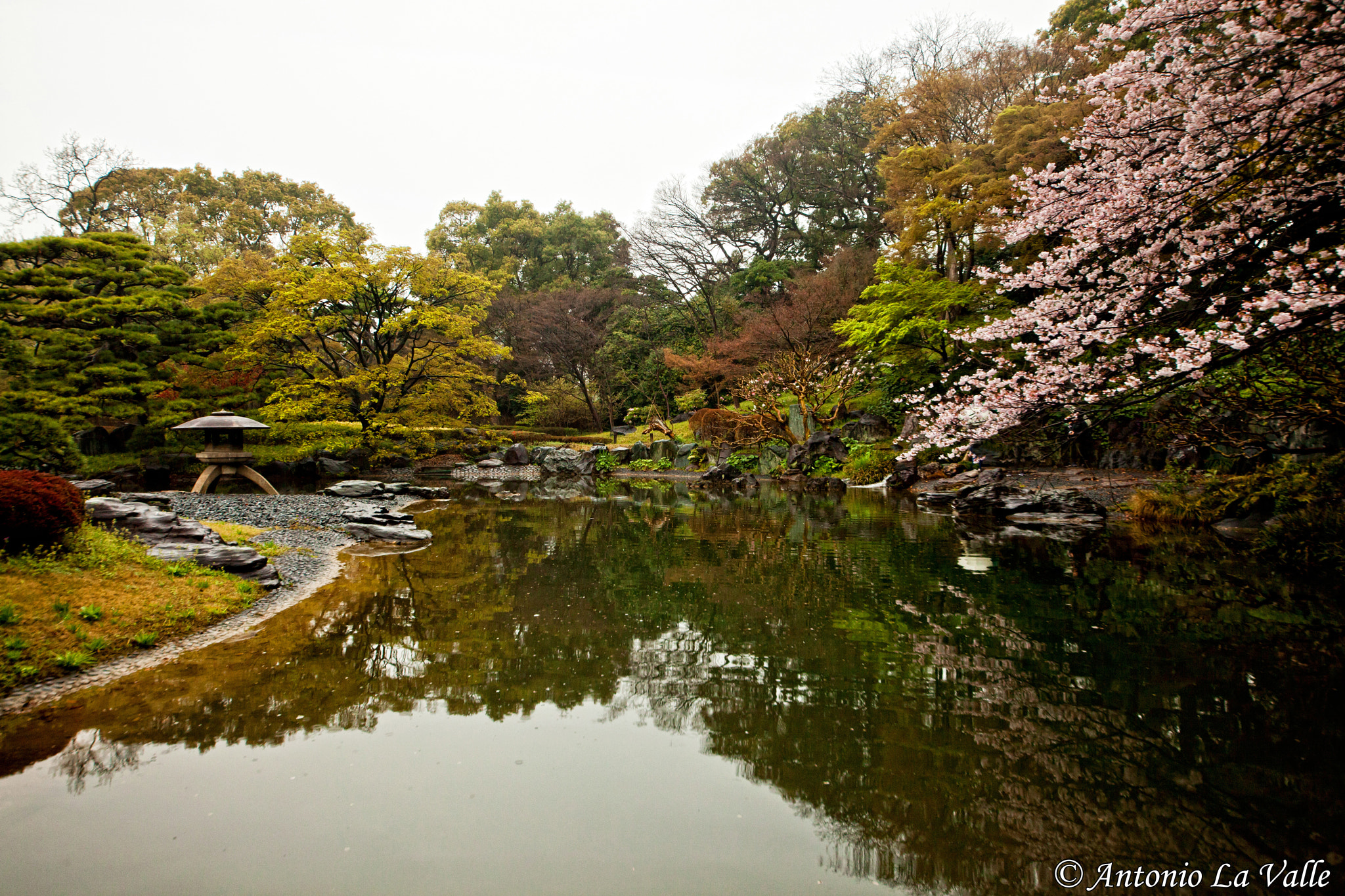 Canon EOS 5D Mark II + Sigma 12-24mm F4.5-5.6 II DG HSM sample photo. Giardino palazzo imperiale photography