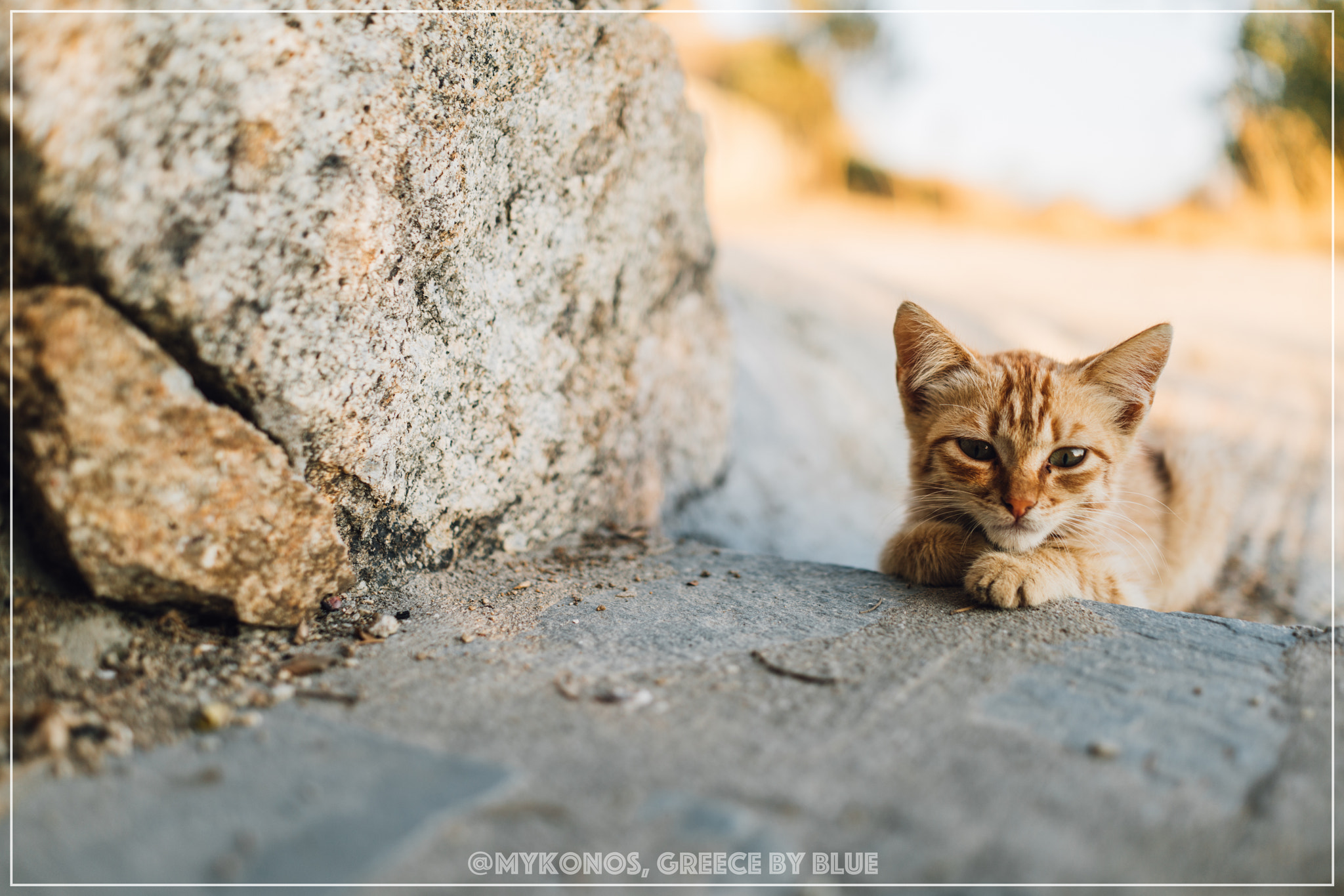 35mm F2.0 sample photo. I'm moodiness... photography