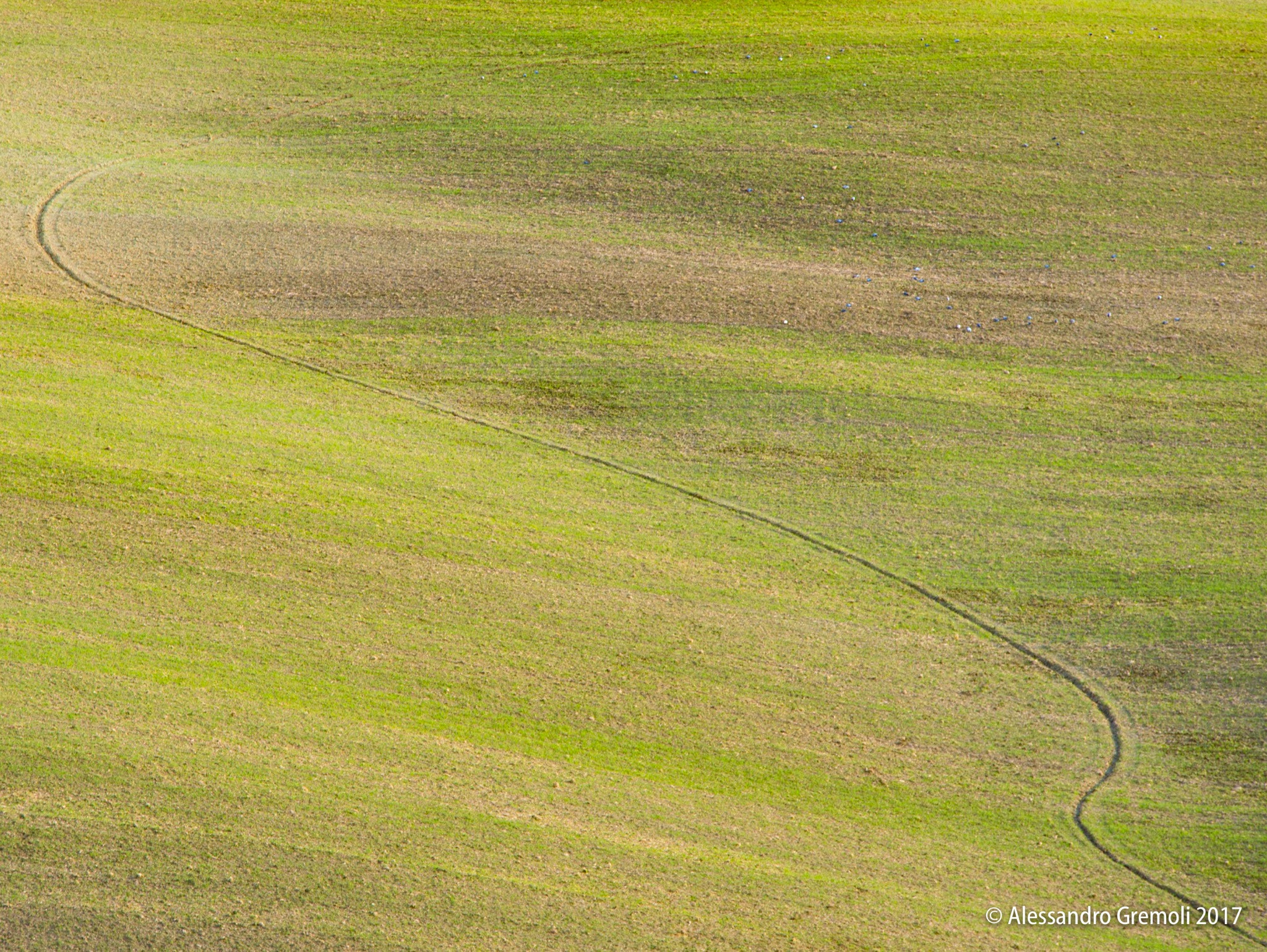 Sigma 70-200mm F2.8 EX DG OS HSM sample photo. Val d'orcia (tuscany) photography