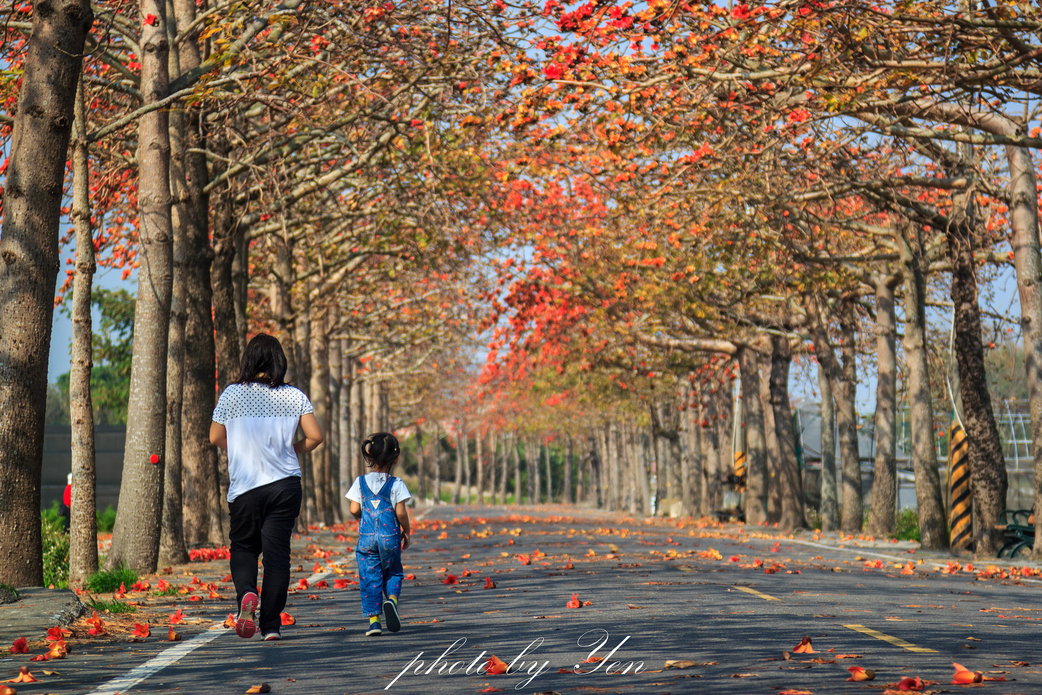 Canon EOS 550D (EOS Rebel T2i / EOS Kiss X4) + Canon EF 24-105mm F4L IS USM sample photo. 幸福 photography