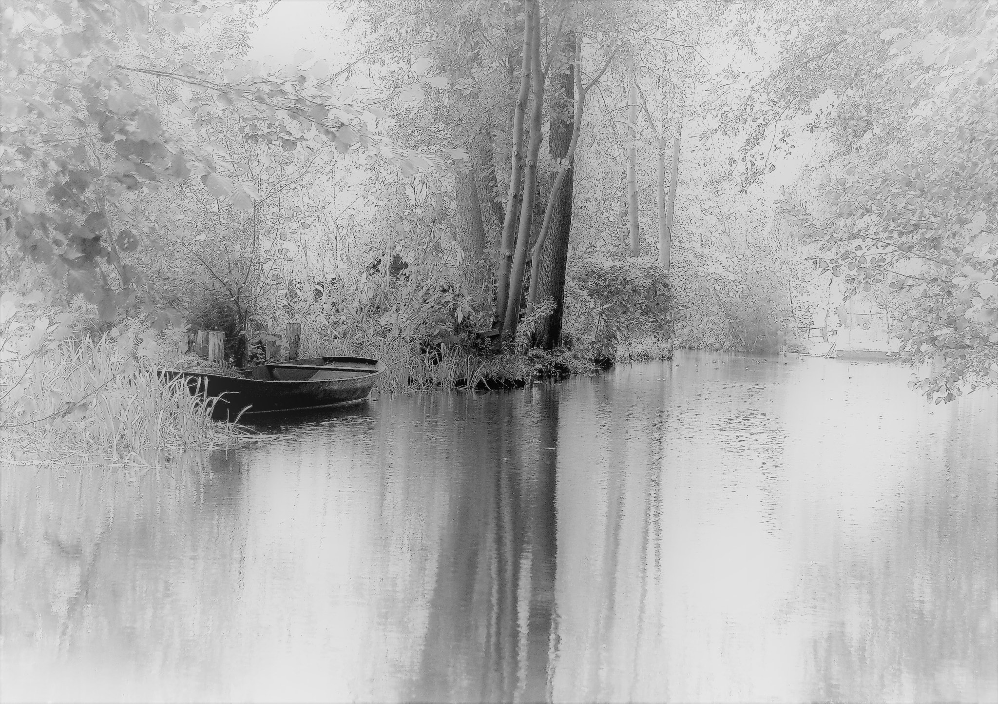 Nikon D40X sample photo. Harmony photography