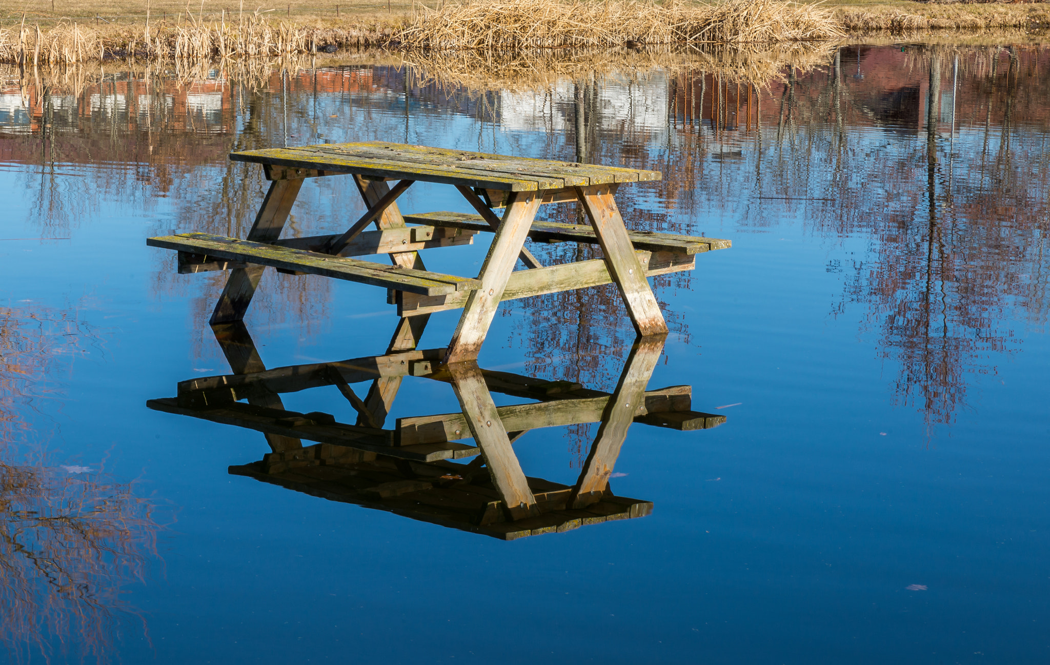 Tamron SP 24-70mm F2.8 Di VC USD sample photo. Reflections! photography