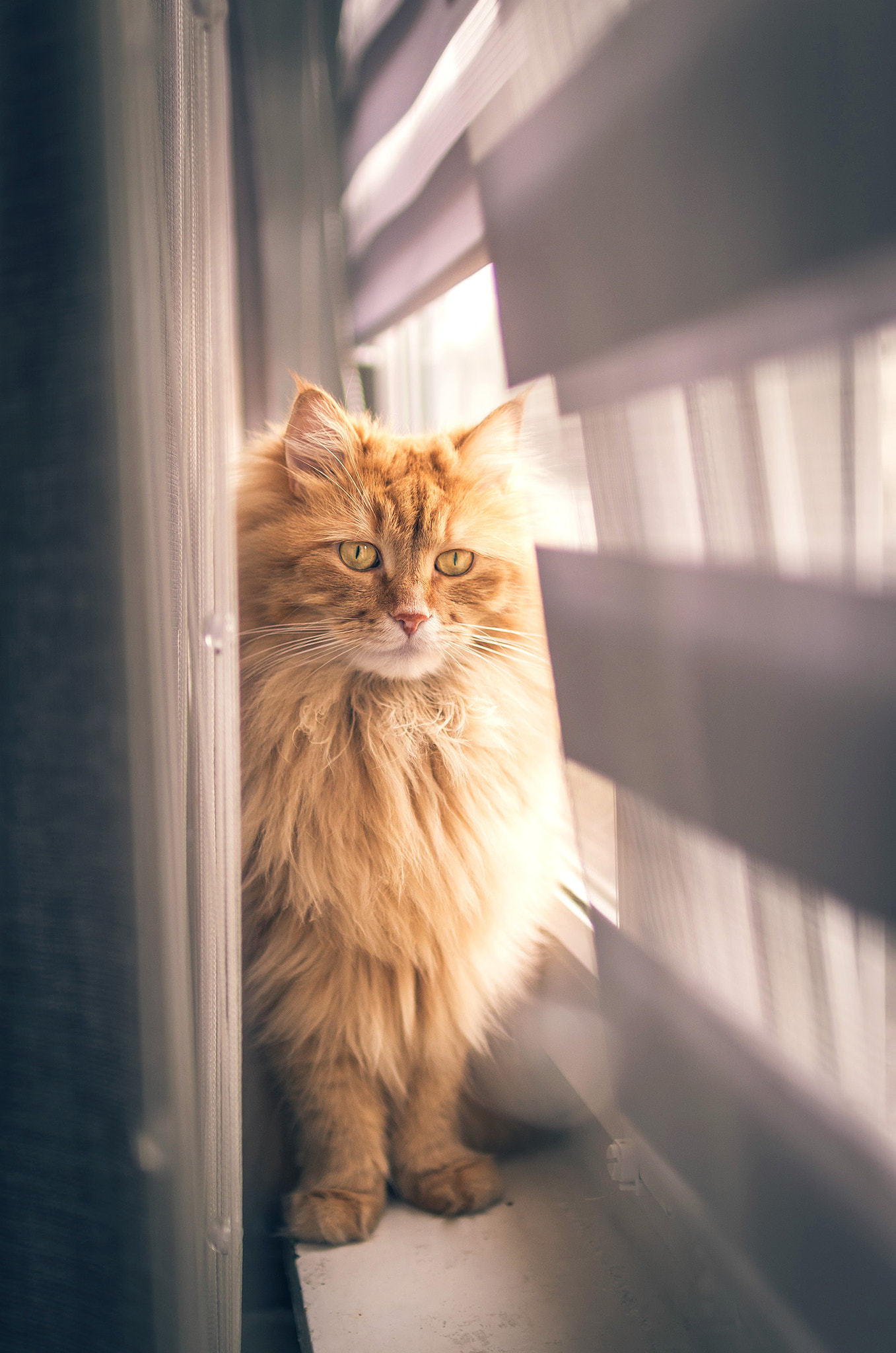 Sigma 30mm F1.4 EX DC HSM sample photo. My dude :) photography