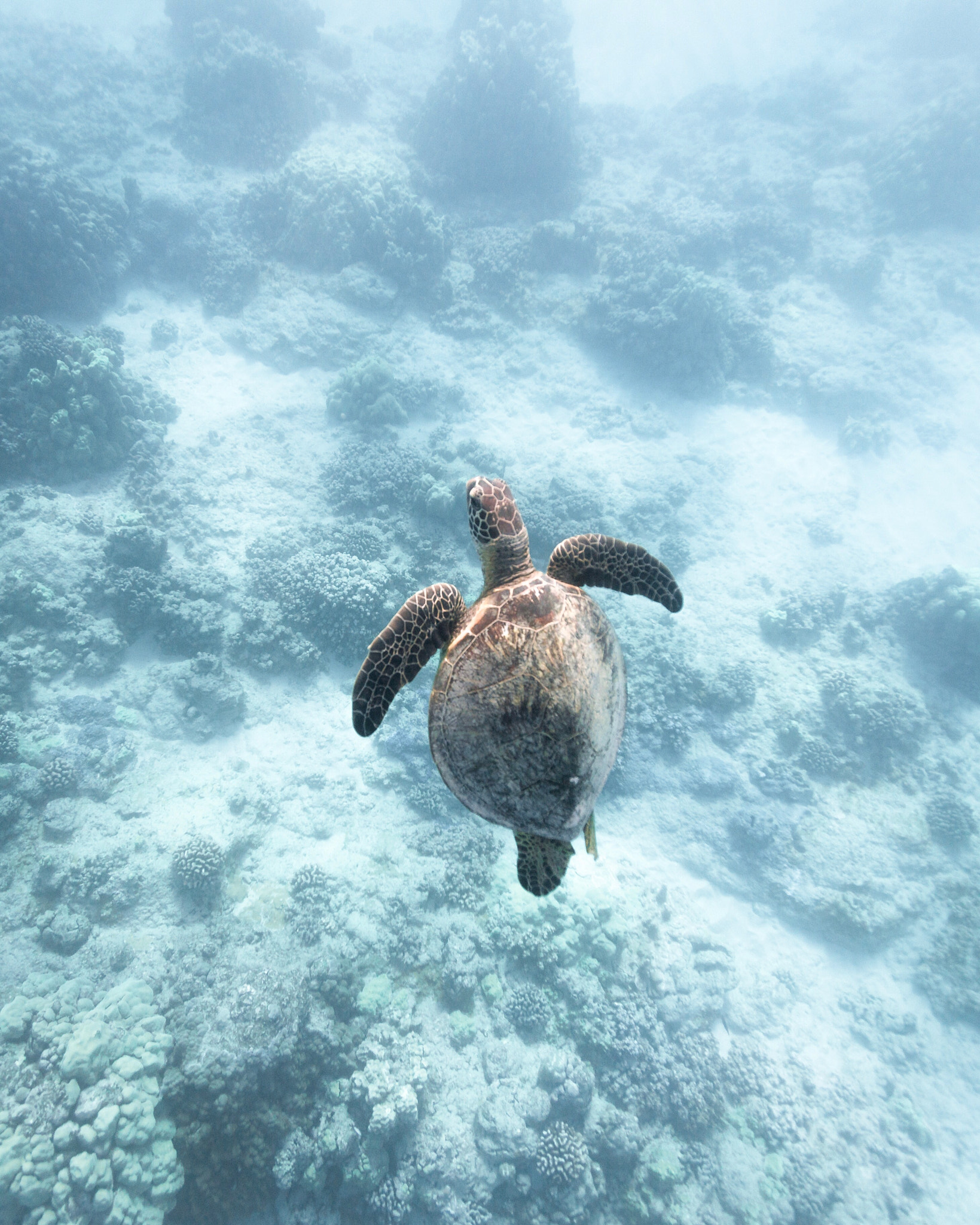 Canon EF-S 10-22mm F3.5-4.5 USM sample photo. Crystal swim photography