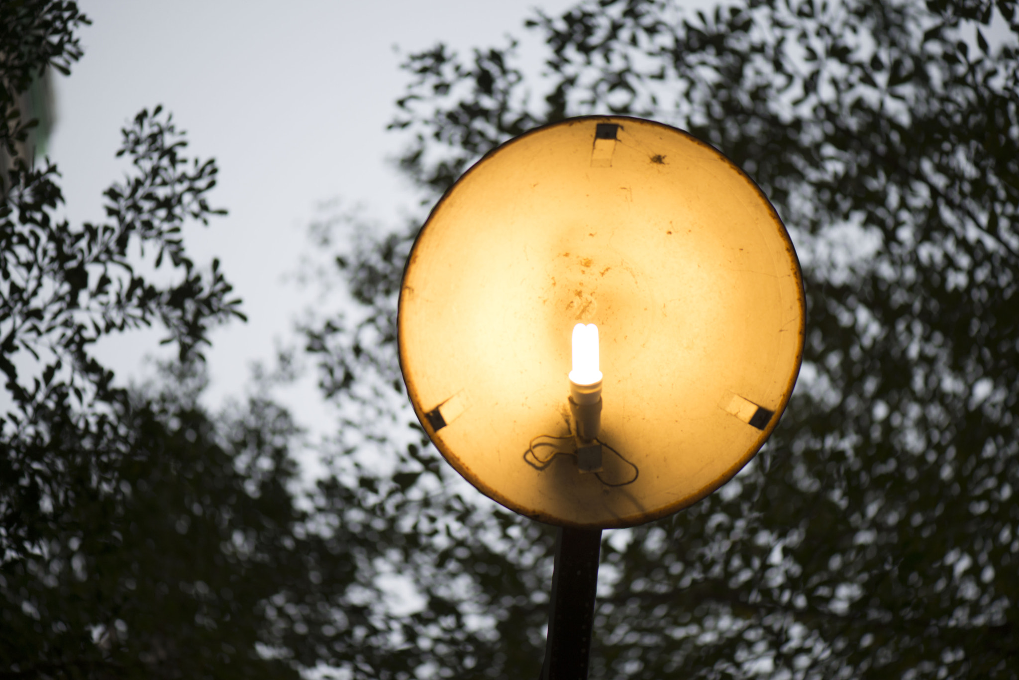 Nikon AF-S Micro-Nikkor 105mm F2.8G IF-ED VR sample photo. Light photography