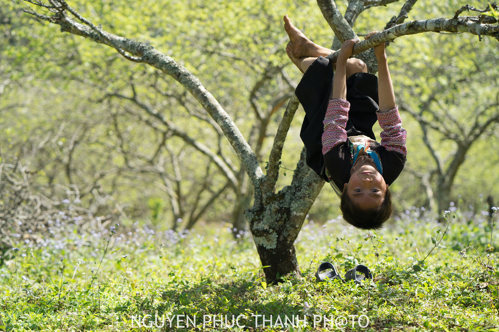 ZEISS Batis 85mm F1.8 sample photo. Dsc photography