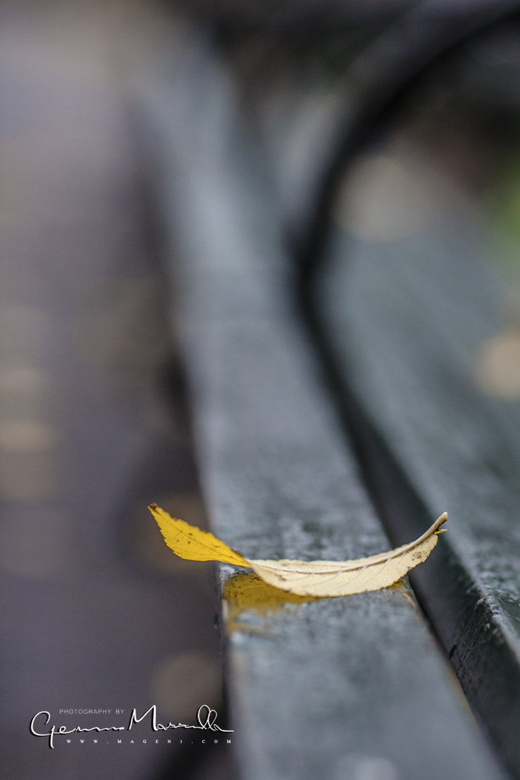 Canon EF 85mm F1.2L II USM sample photo. ...is coming photography