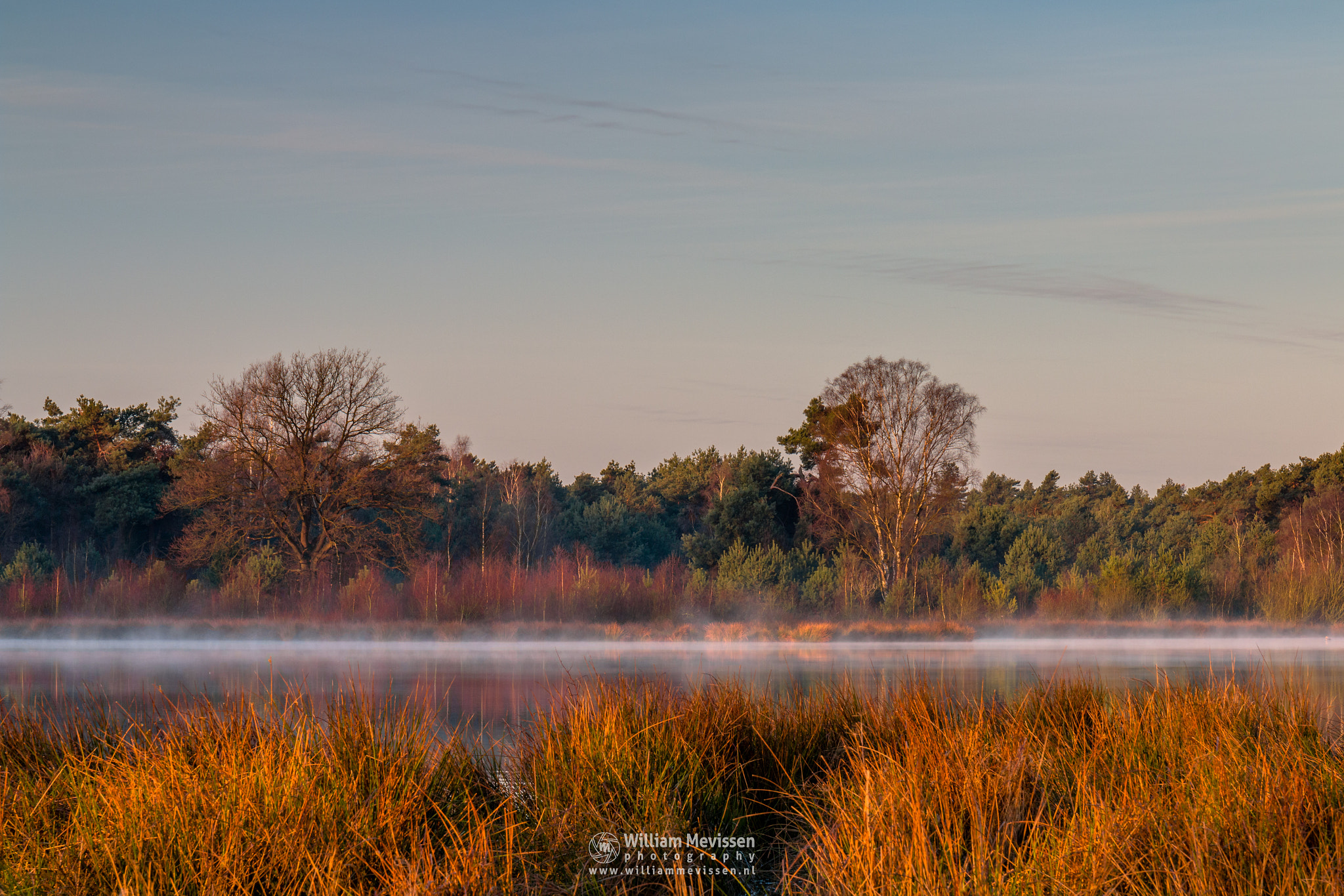 Canon EF 24-70mm F4L IS USM sample photo. Sunrise mist photography