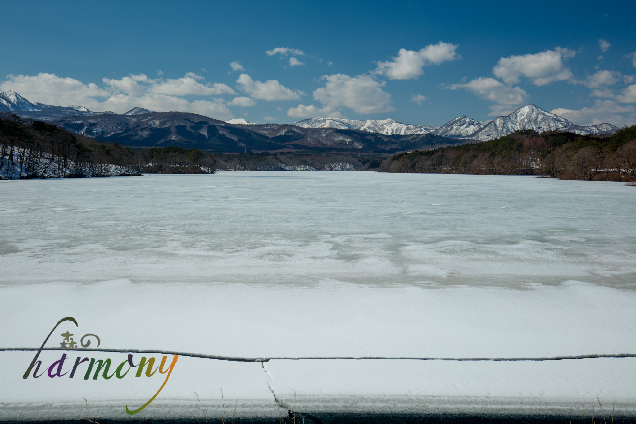Canon EF 16-35mm F4L IS USM sample photo. Spring looks coming soon photography