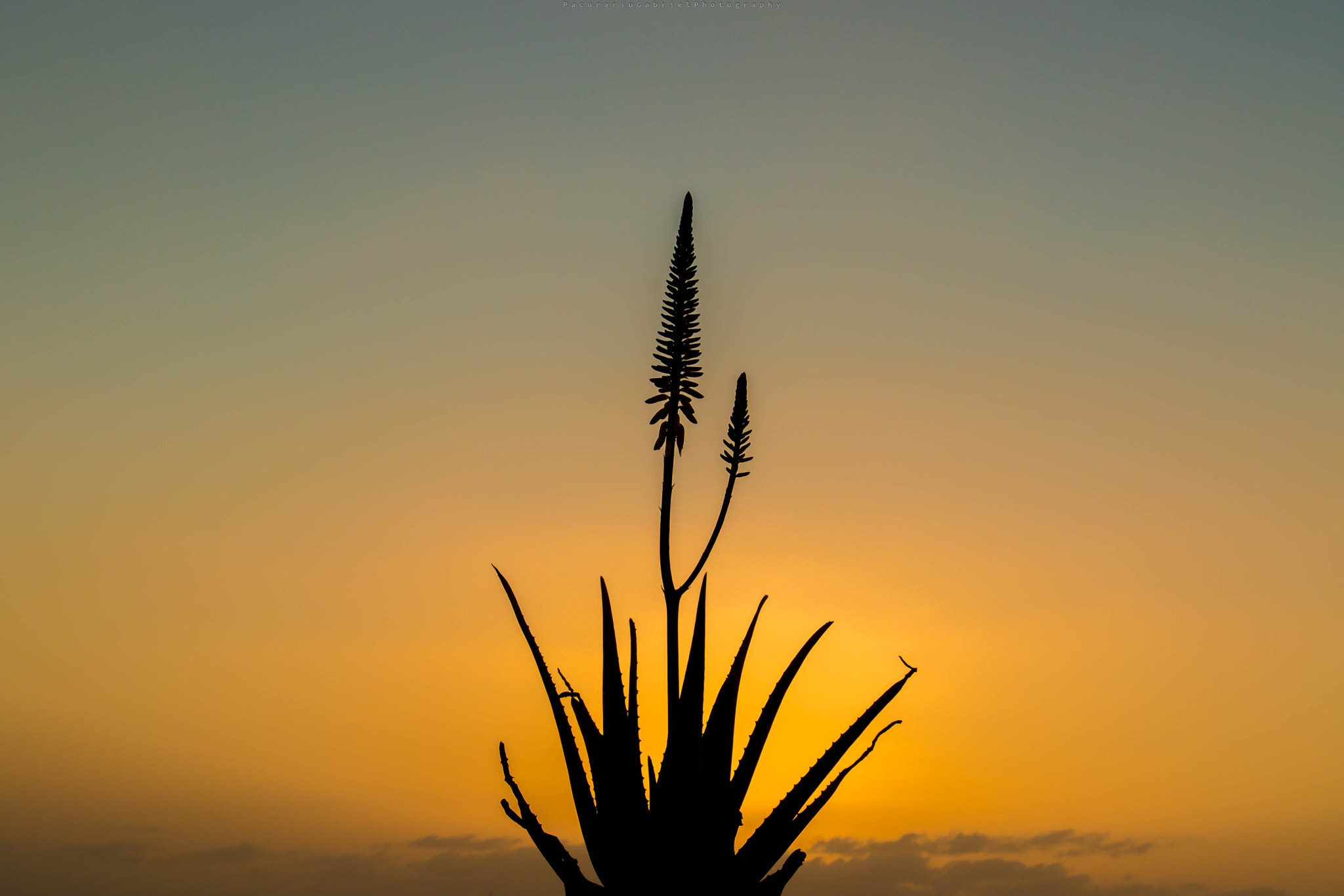 Canon EF 24-105mm F3.5-5.6 IS STM sample photo. African sunrise photography