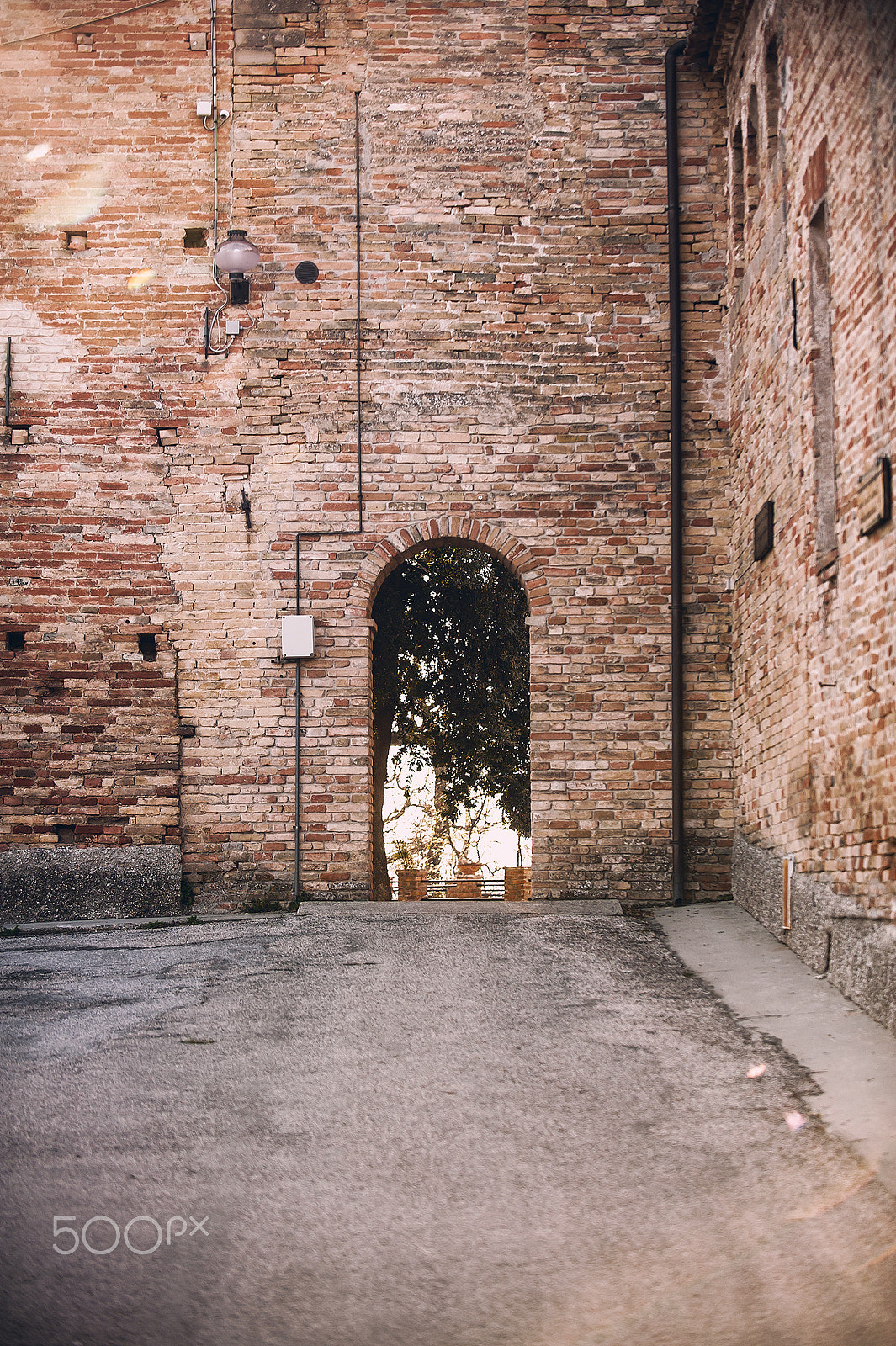 Nikon D3 sample photo. How many bricks in this pic? photography