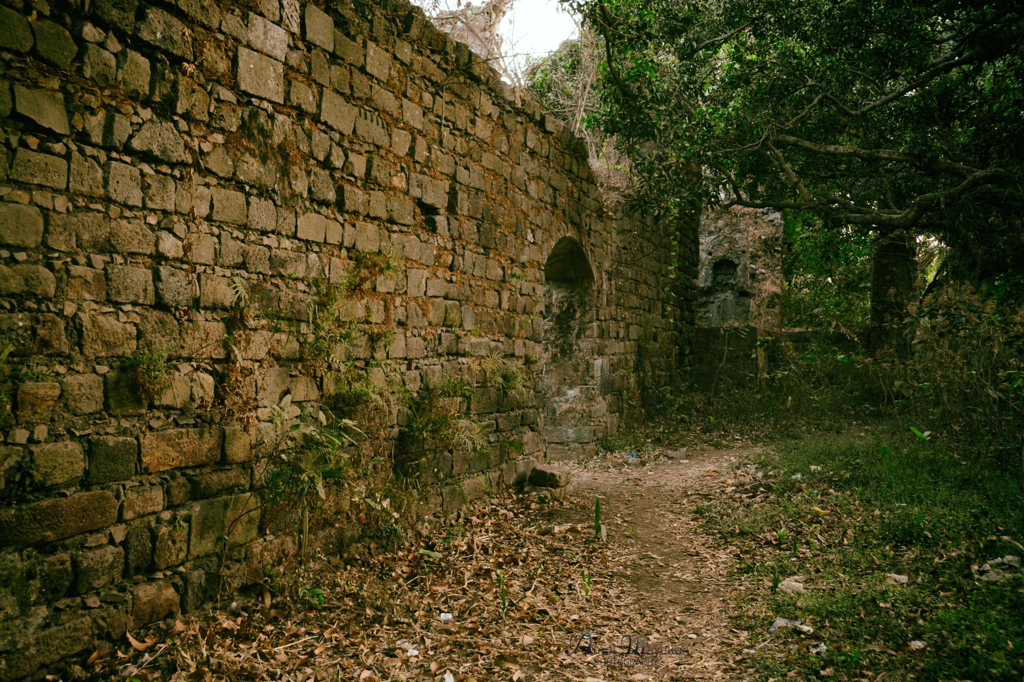 Nikon D7100 + Sigma 28-300mm F3.5-6.3 DG Macro sample photo. Vasai fort_mumbai photography