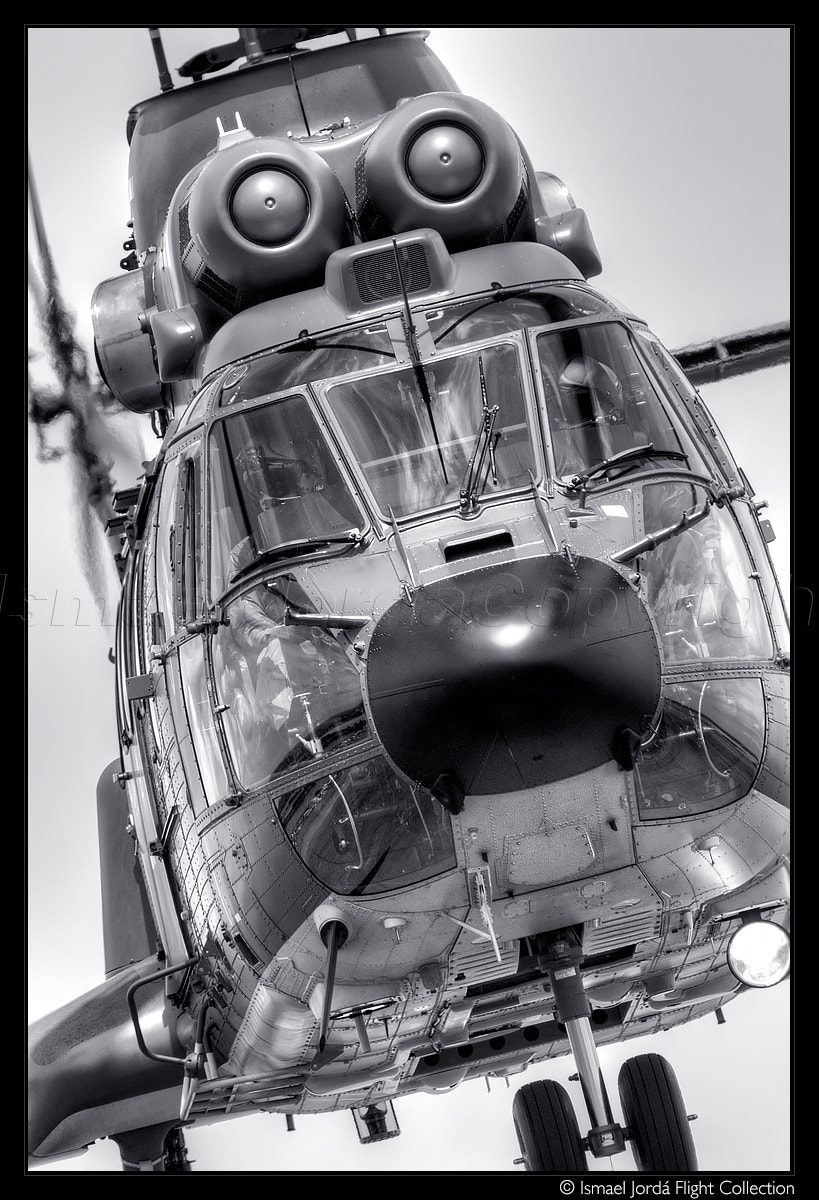 Nikon AF-S Nikkor 600mm F4G ED VR sample photo. Super puma (2014) photography