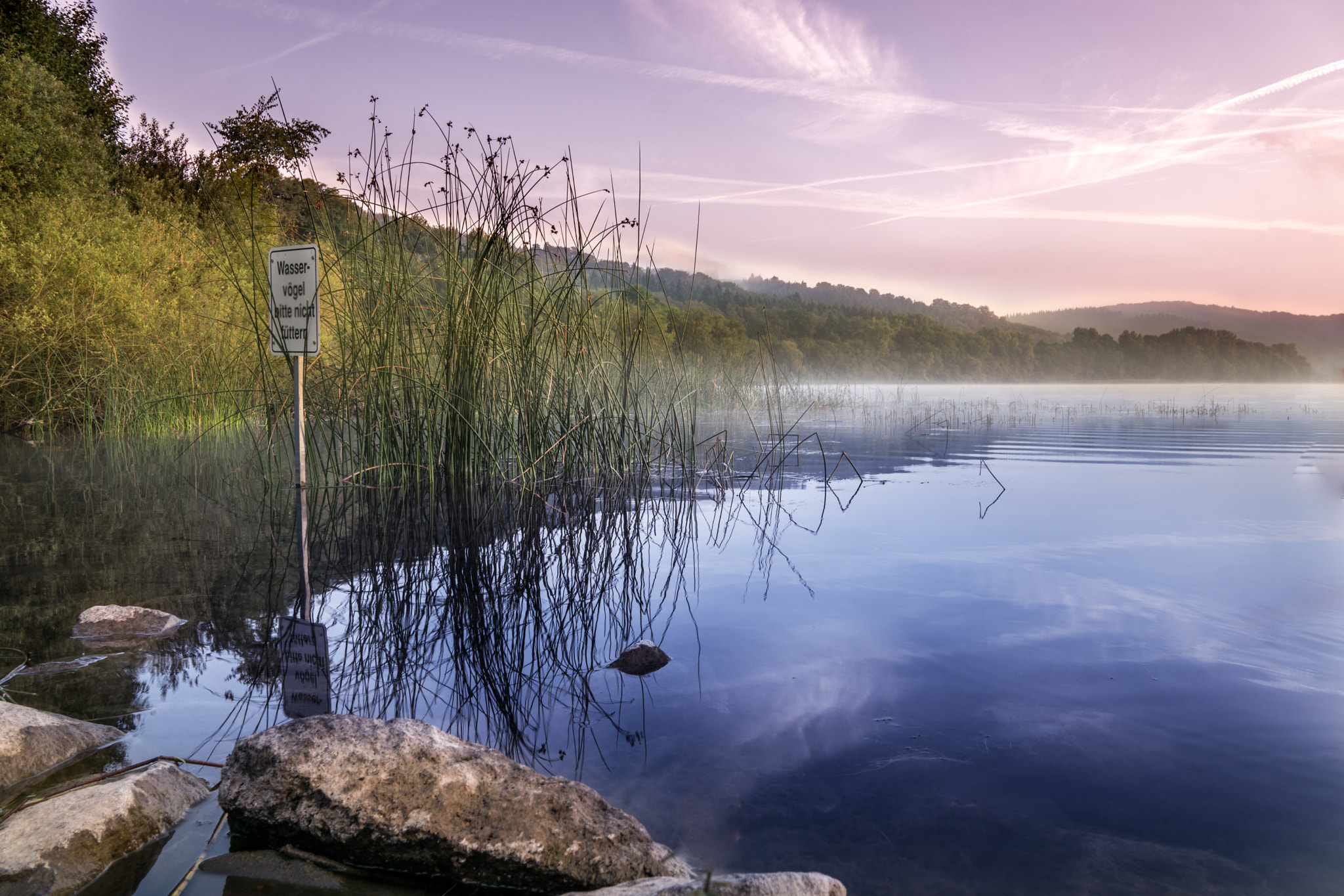 Sony a6000 sample photo. Foggy lake photography