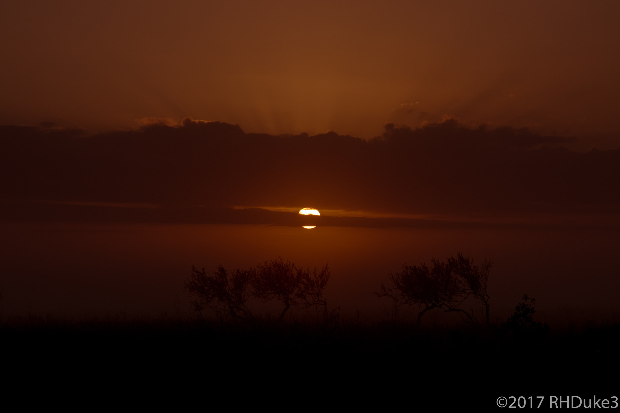 Canon EF-S 18-200mm F3.5-5.6 IS sample photo. Morning sun photography