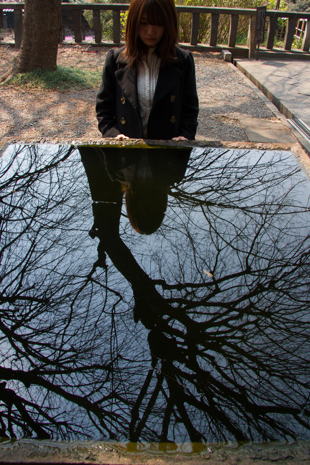 Canon EF-S 17-85mm F4-5.6 IS USM sample photo. The water mirror photography