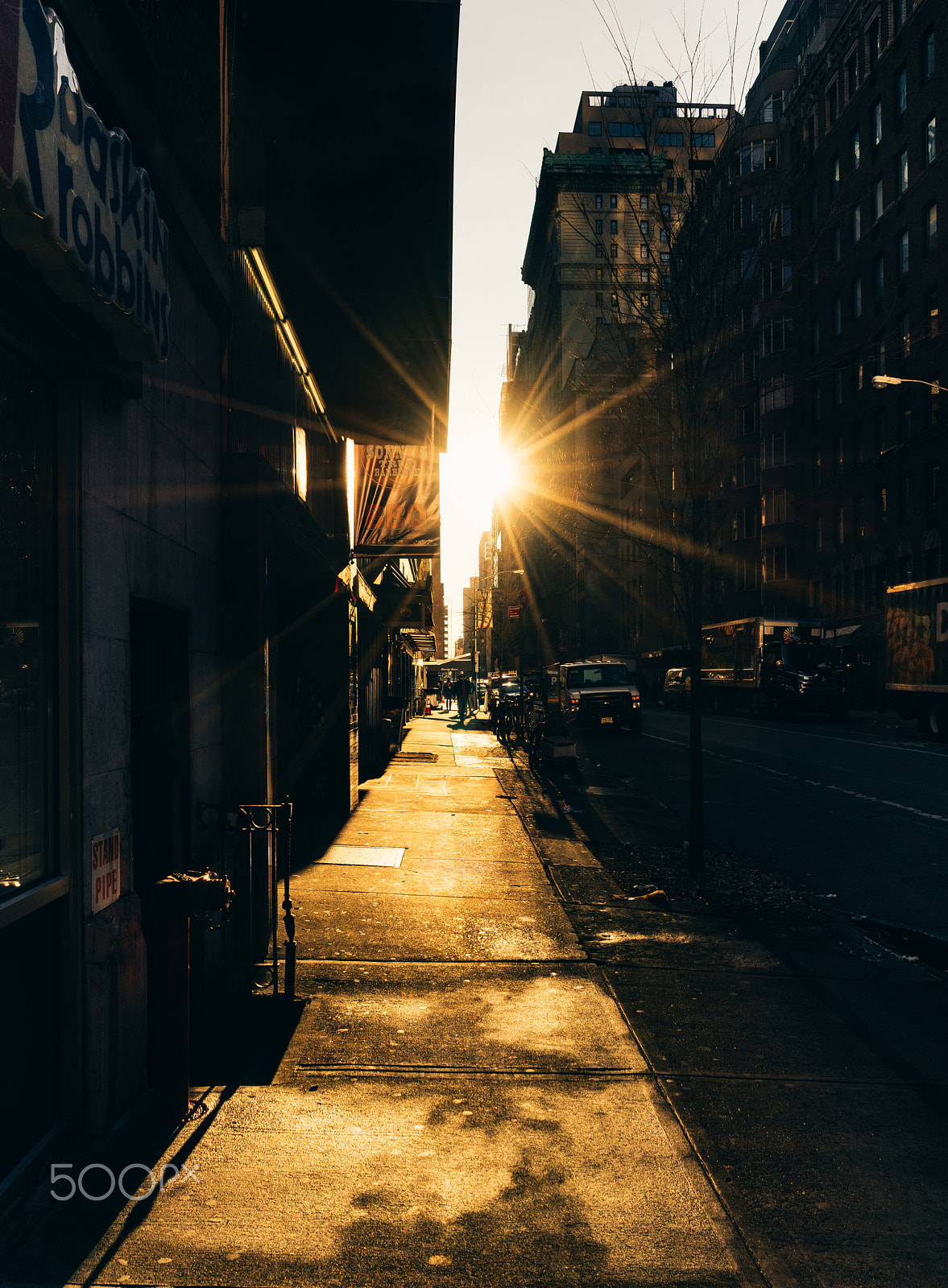 Sony a7R + Sony Vario Tessar T* FE 24-70mm F4 ZA OSS sample photo. Every sunrise is a new opportunity photography