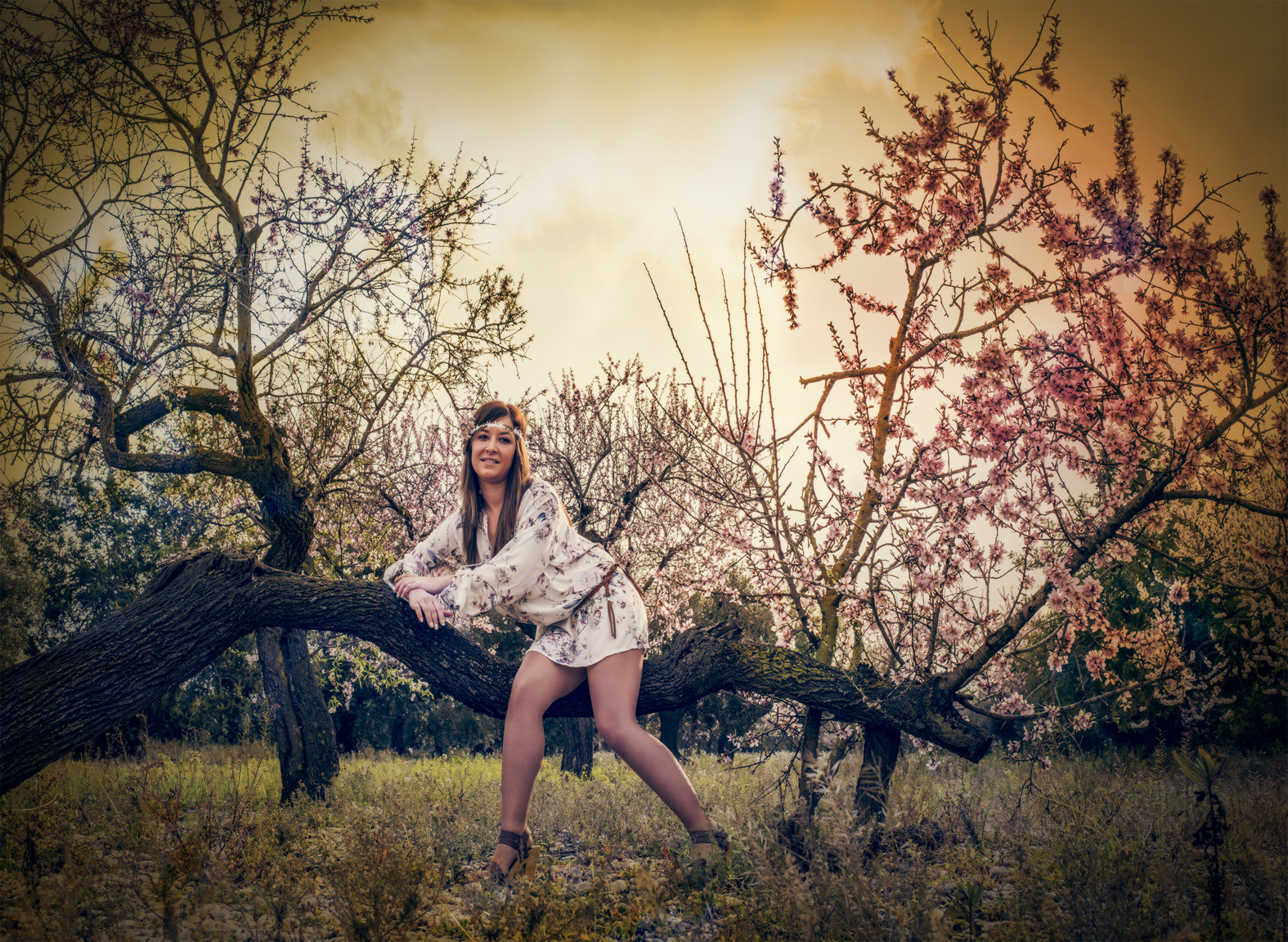 Nikon D800 + Nikon AF-S Nikkor 50mm F1.8G sample photo. Tarde de primavera photography