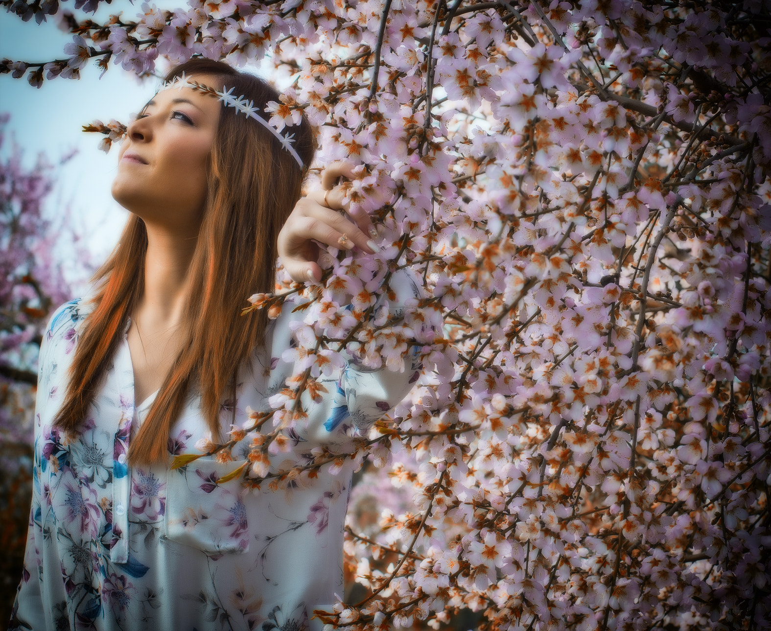 Nikon D800 + Nikon AF-S Nikkor 50mm F1.8G sample photo. Tarde de primavera photography