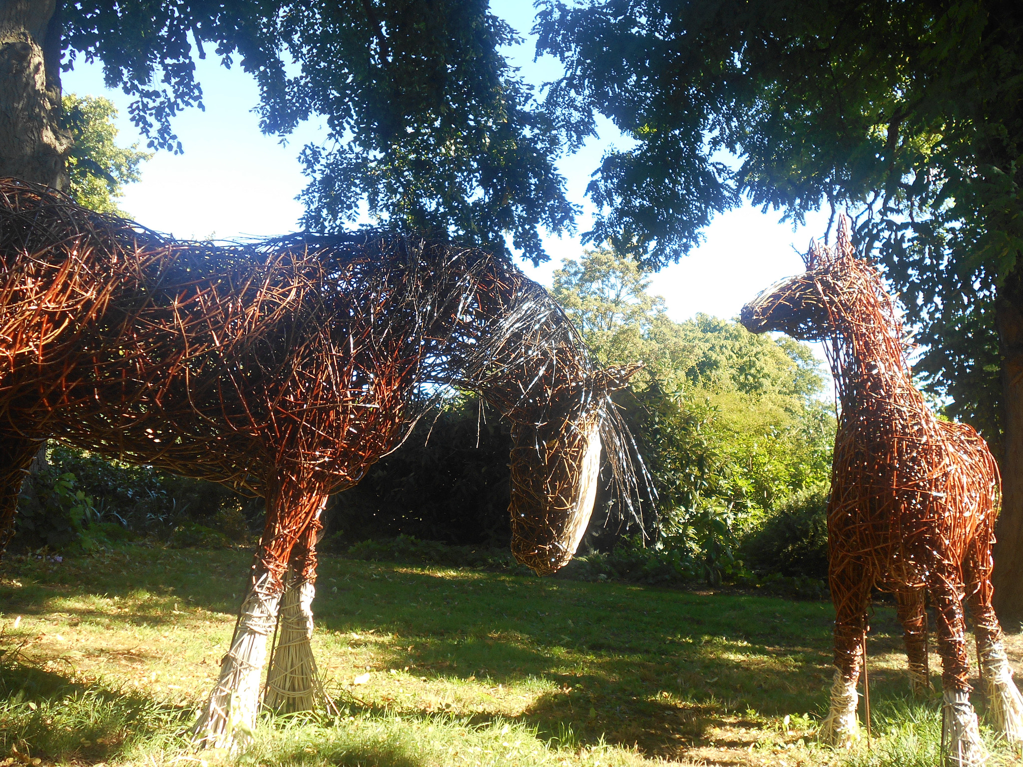 Nikon Coolpix S2900 sample photo. Horses architecture photography