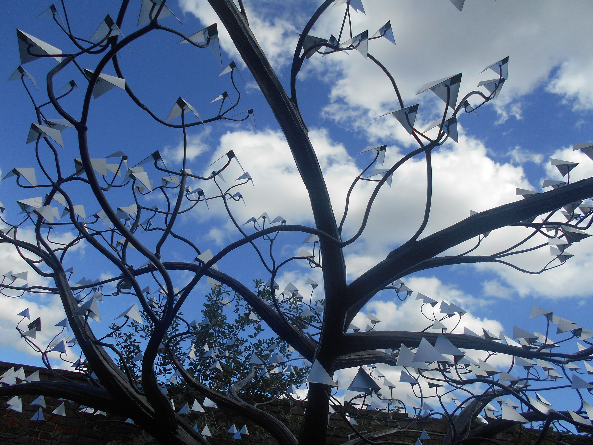 Nikon Coolpix S2900 sample photo. Dark tree silhouette photography