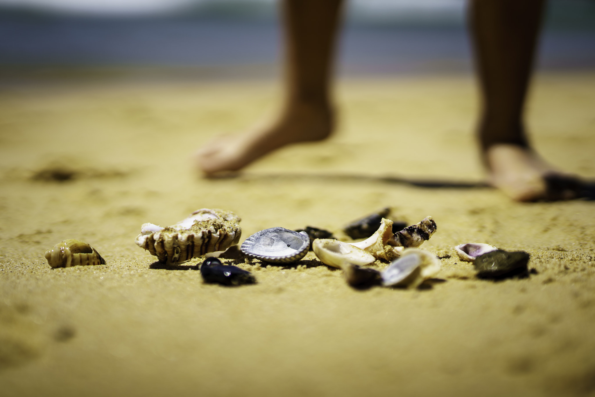 Sony a7R II + Minolta AF 50mm F1.4 [New] sample photo. Kids on a beach photography