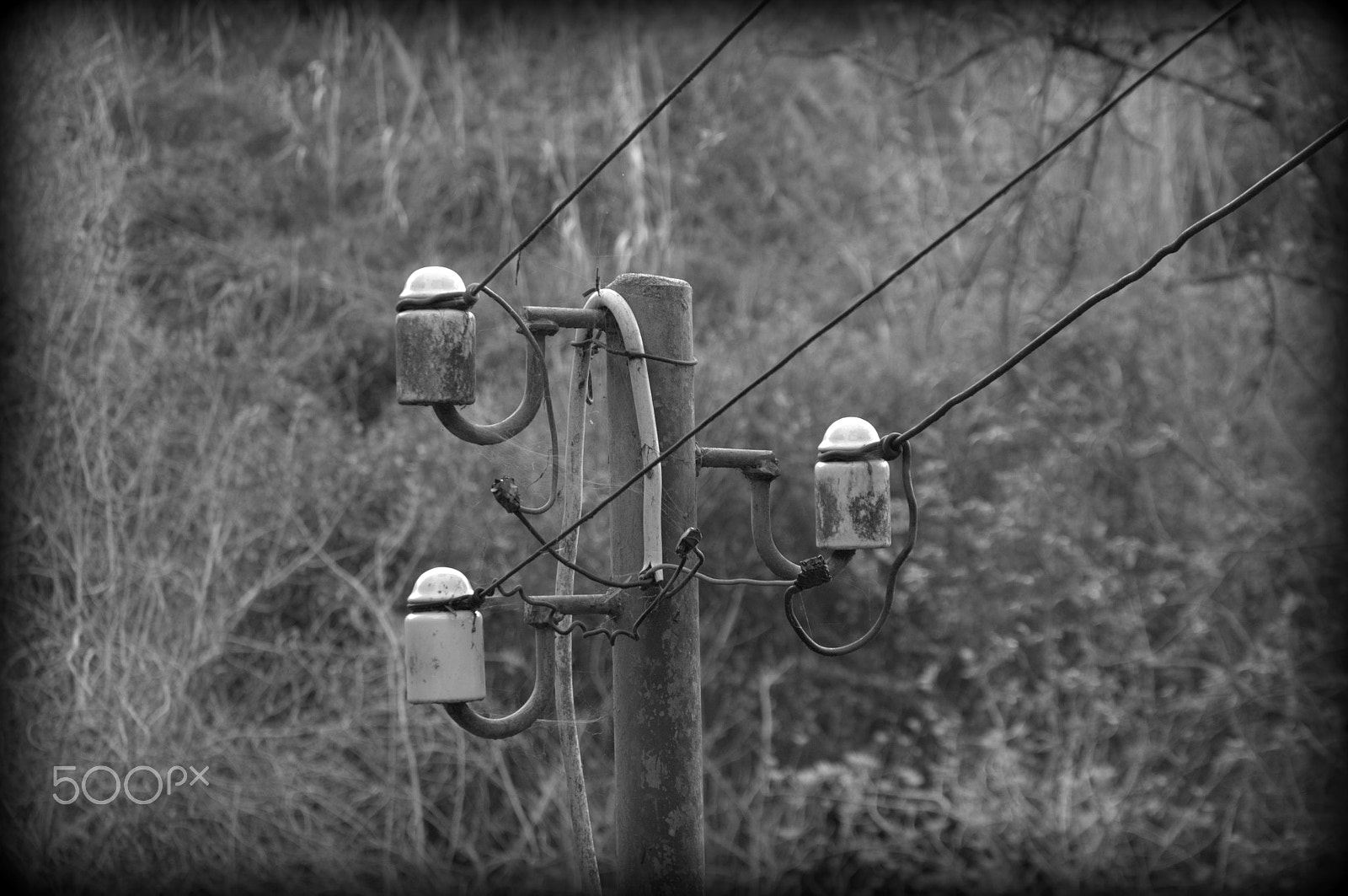 Nikon D300S sample photo. Caution... photography