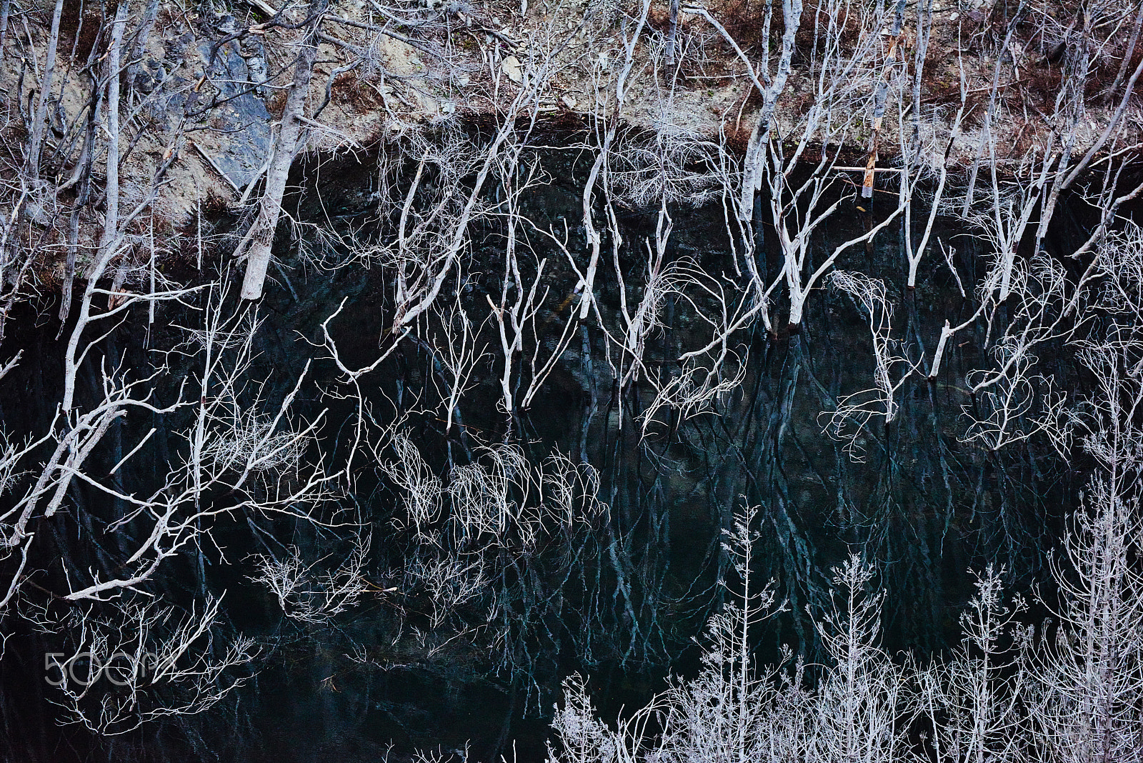 Nikon D810 sample photo. Lake of sorrow photography