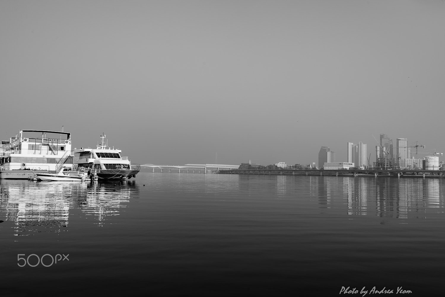 Nikon D5 sample photo. Morning calm photography