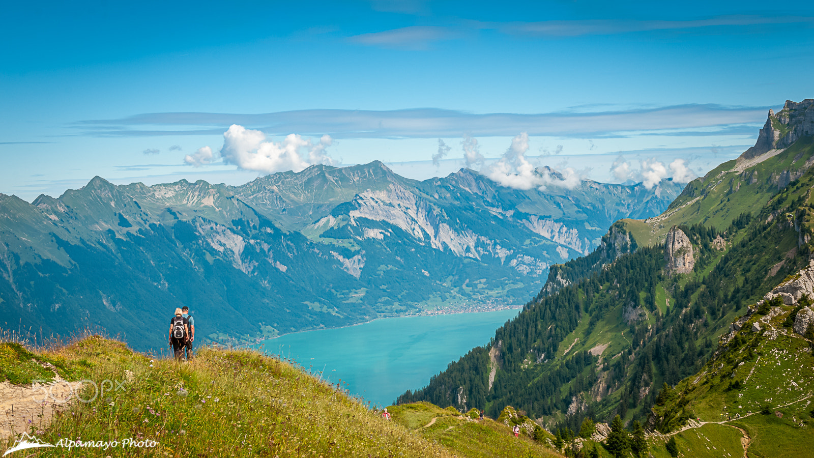 Nikon AF-S Nikkor 24-70mm F2.8G ED sample photo. Hiking above interlaken photography