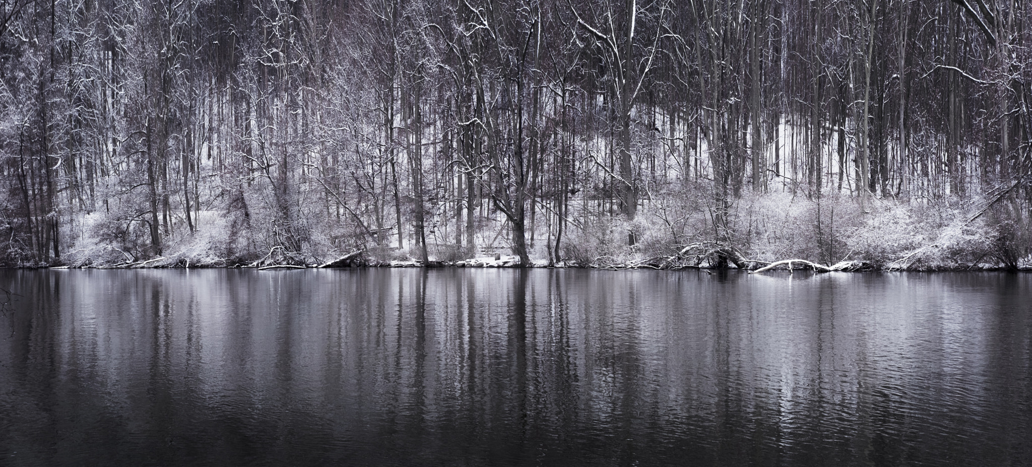 Fujifilm X-Pro2 sample photo. Winter melodies photography