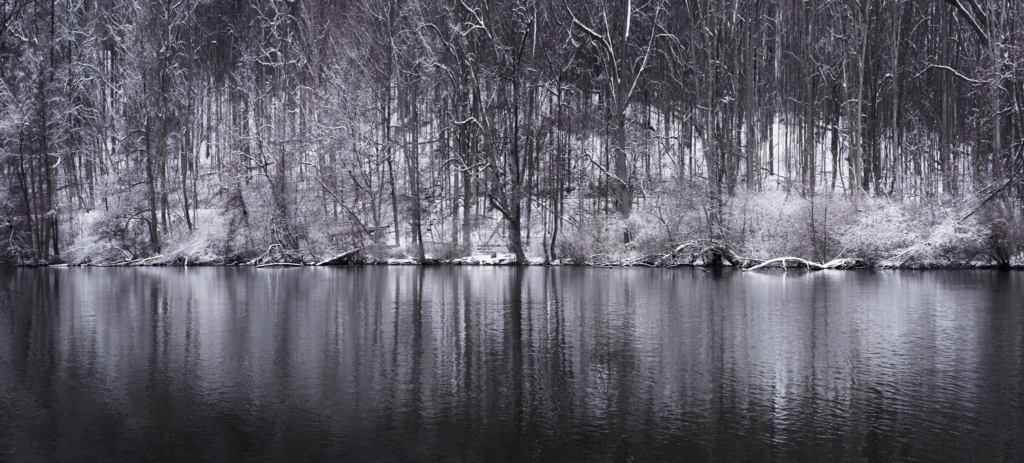 Fujifilm X-Pro2 + Fujifilm XF 35mm F2 R WR sample photo. Winter melodies photography