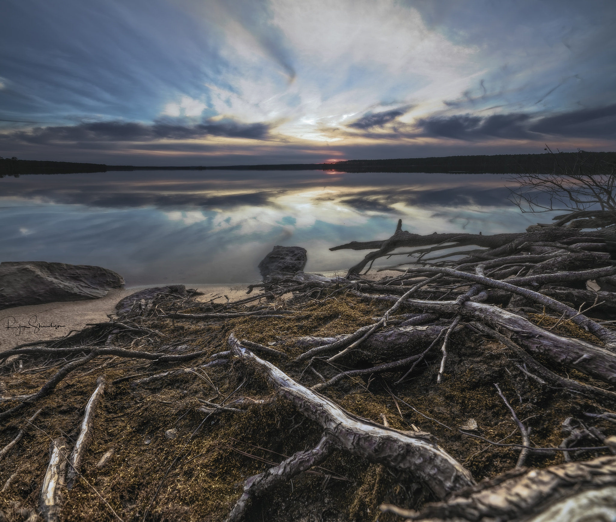 Canon EOS 5DS R sample photo. Roots photography