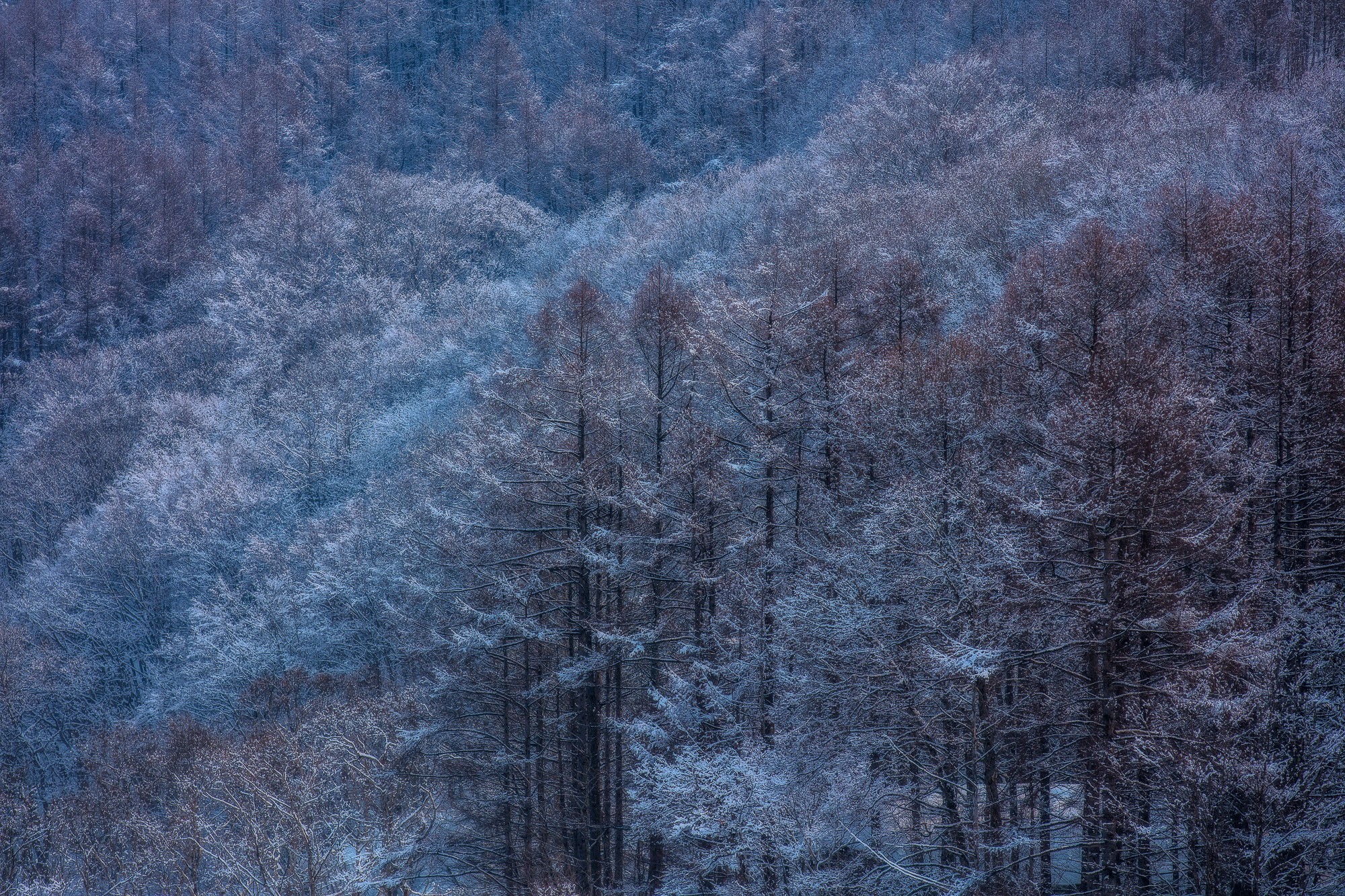 Canon EOS 5DS R sample photo. Colorful snow photography